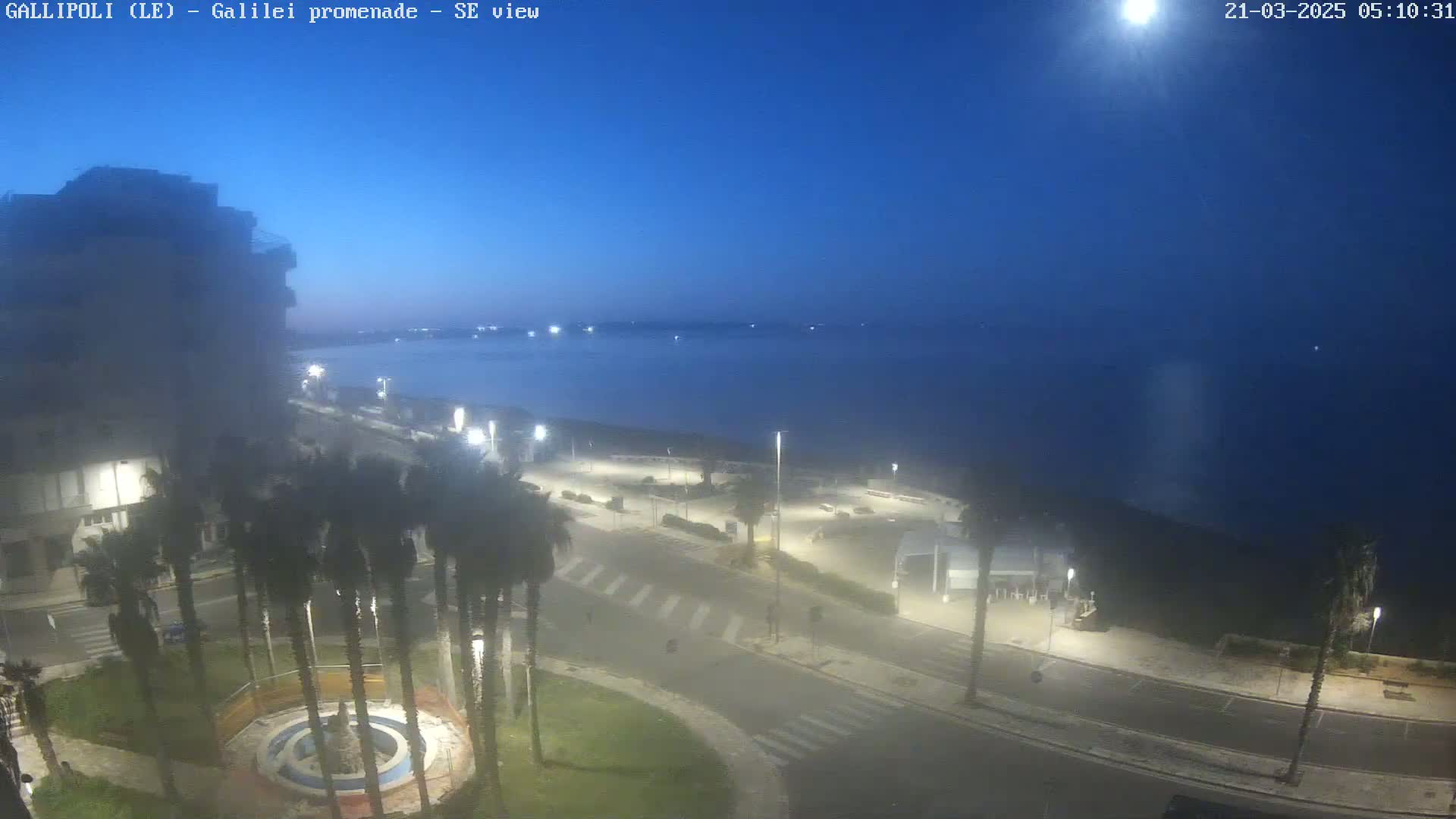 A nighttime, seaside view shows a mostly empty promenade with palm trees and streetlights, overlooking a calm, dark body of water under a clear, dark blue sky.