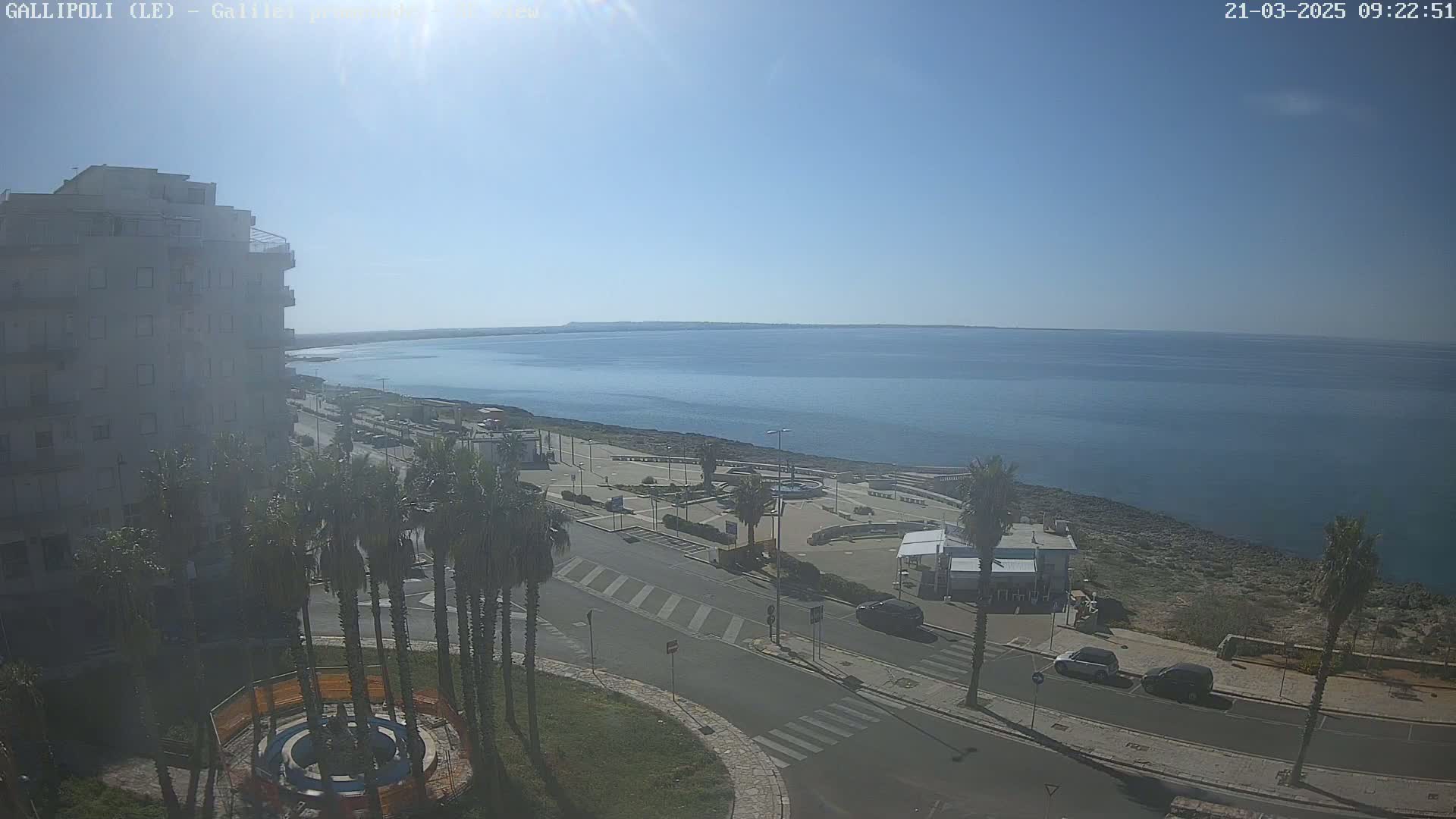 A coastal town scene on a sunny day shows a calm sea, a roadway lined with palm trees, and a multi-story building.