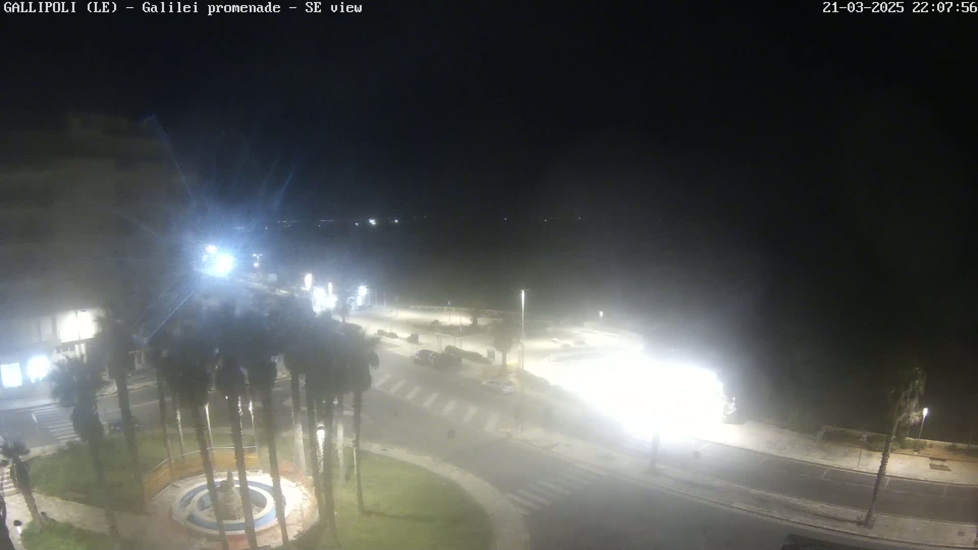 A nighttime, hazy view of a palm tree-lined promenade and a roadway with some cars and light posts.