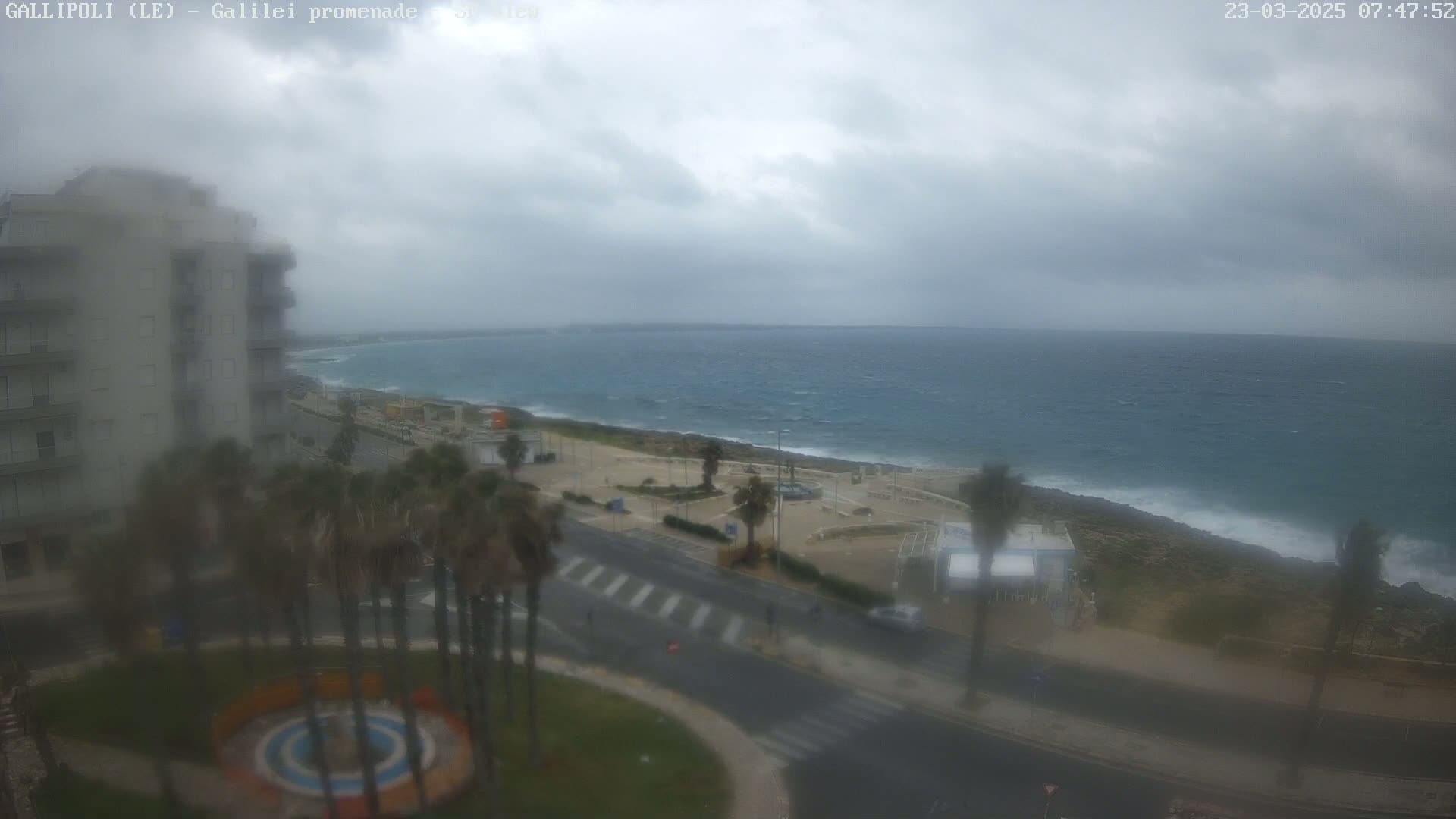 A coastal scene on an overcast day shows a multi-story building, palm trees, a road, and a shoreline with choppy water.