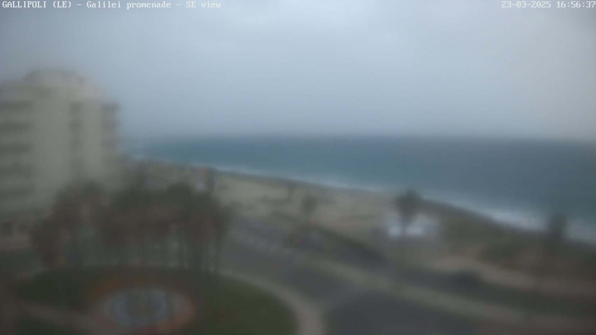 A blurry view shows a hazy coastal scene with a building and palm trees in the foreground, a beach and ocean in the midground, and overcast skies overhead.