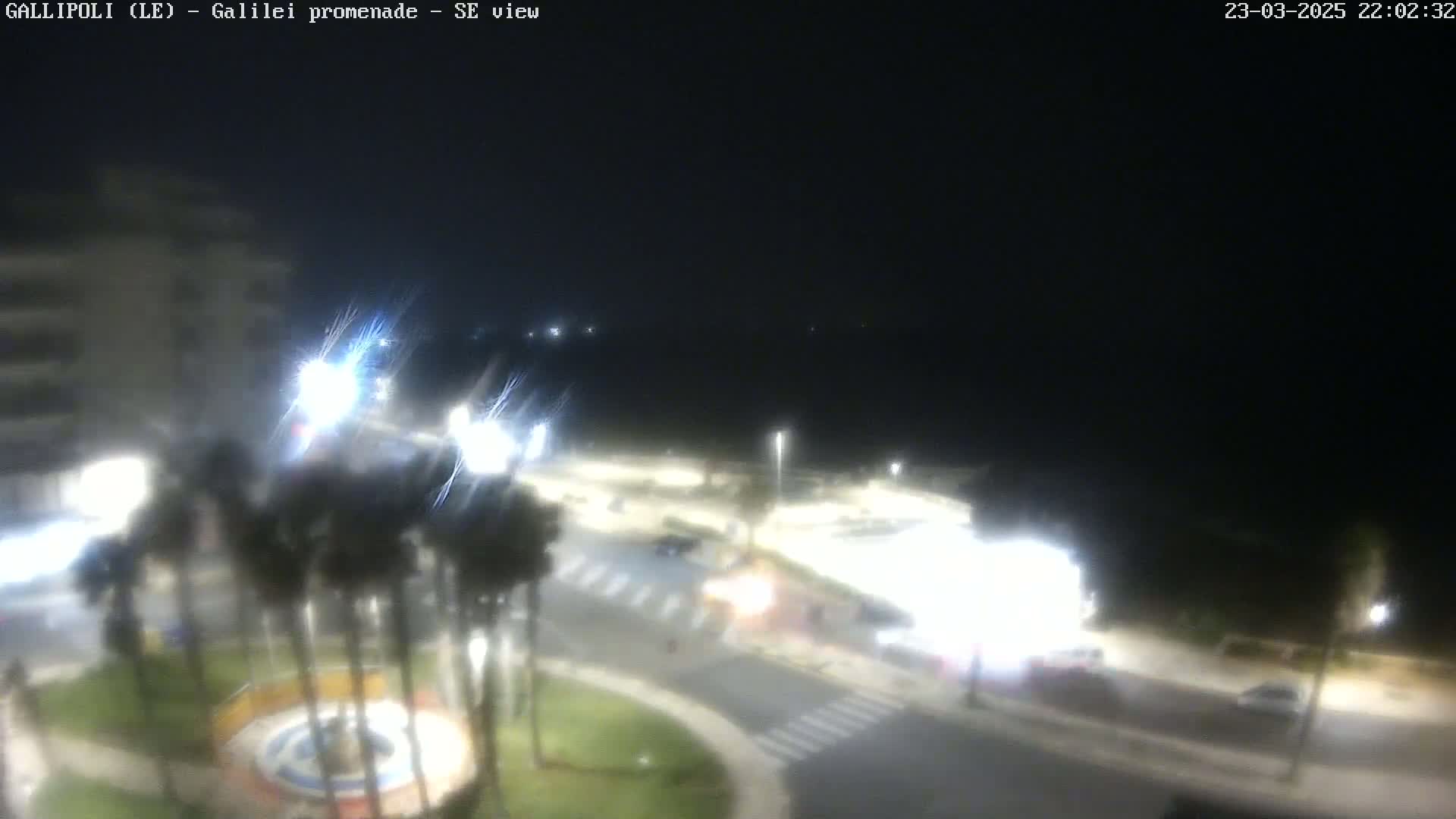 A nighttime view of a seaside promenade with palm trees, streetlights, and vehicles, under a clear, dark sky.