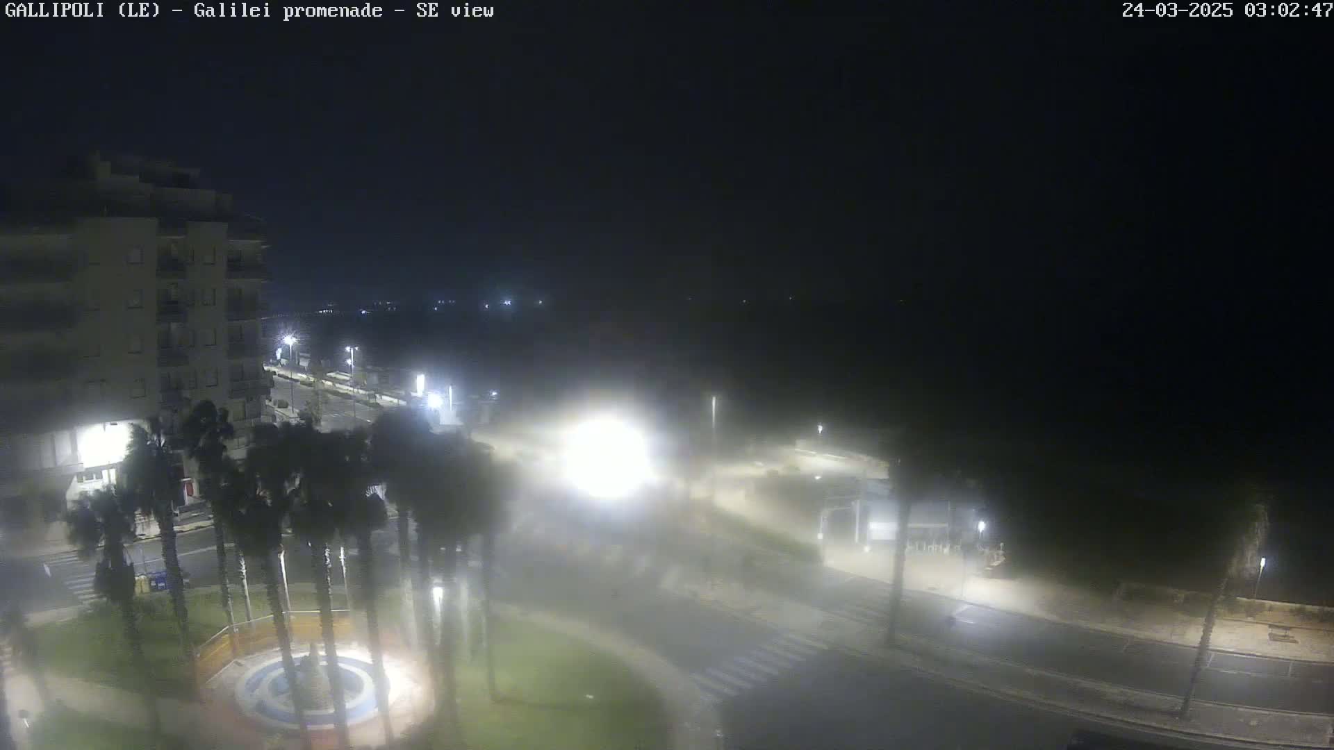 A nighttime, foggy view of a city street with palm trees, a building, and a circular fountain in a park.