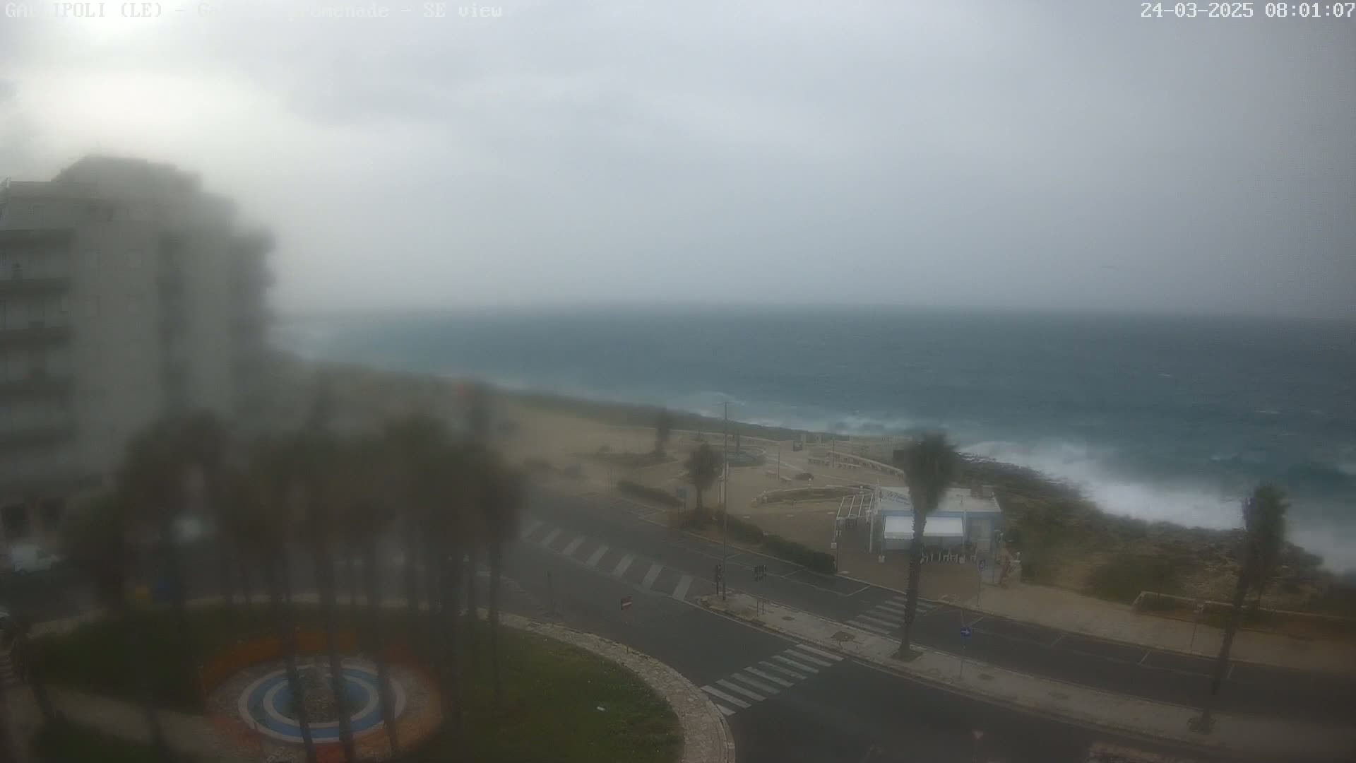 A hazy, overcast day shows a coastal scene with a roadway, palm trees, buildings, and a rough sea with waves crashing against the shore.