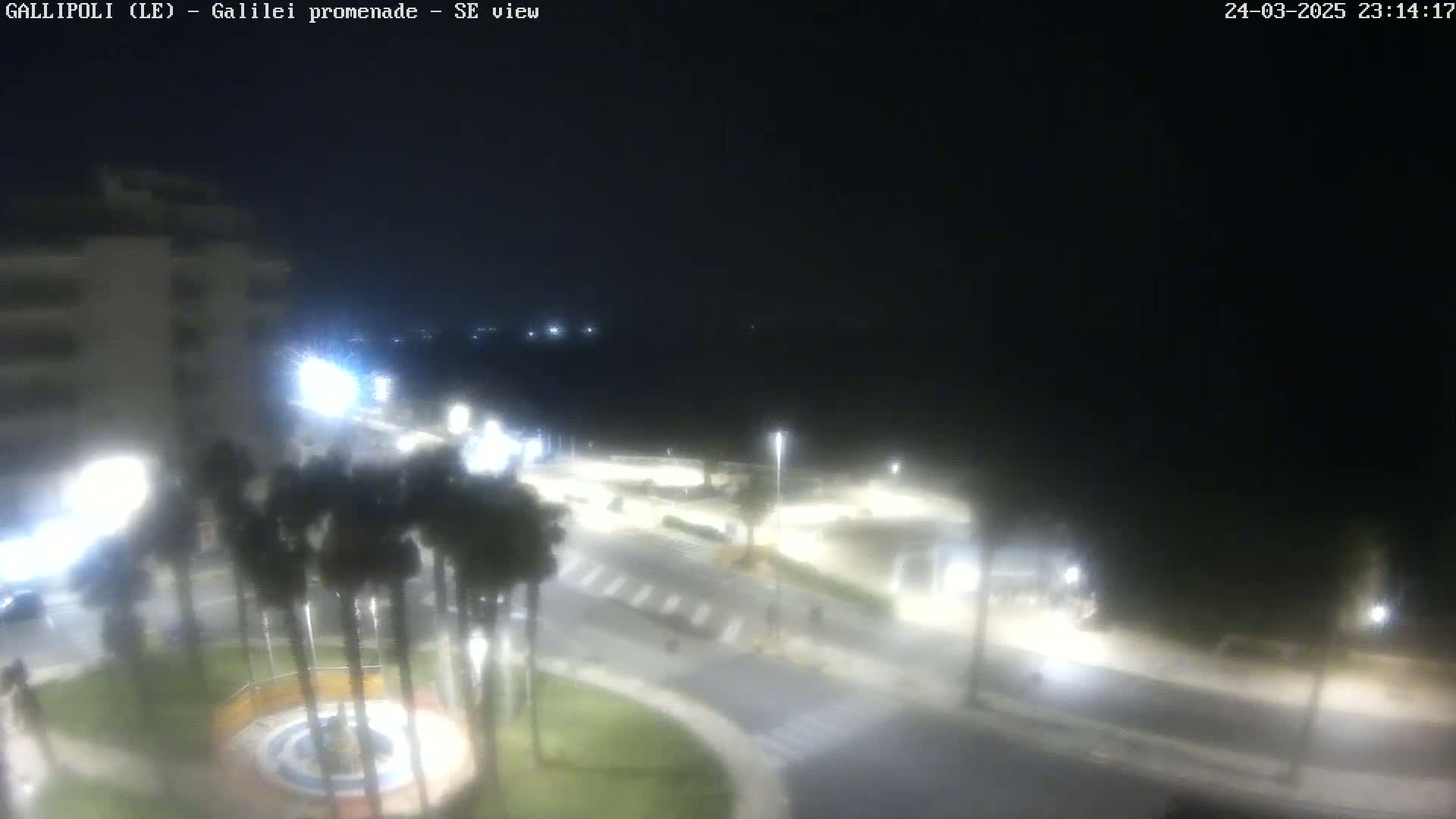 A nighttime view of a city intersection with palm trees and streetlights, under a dark, clear sky.