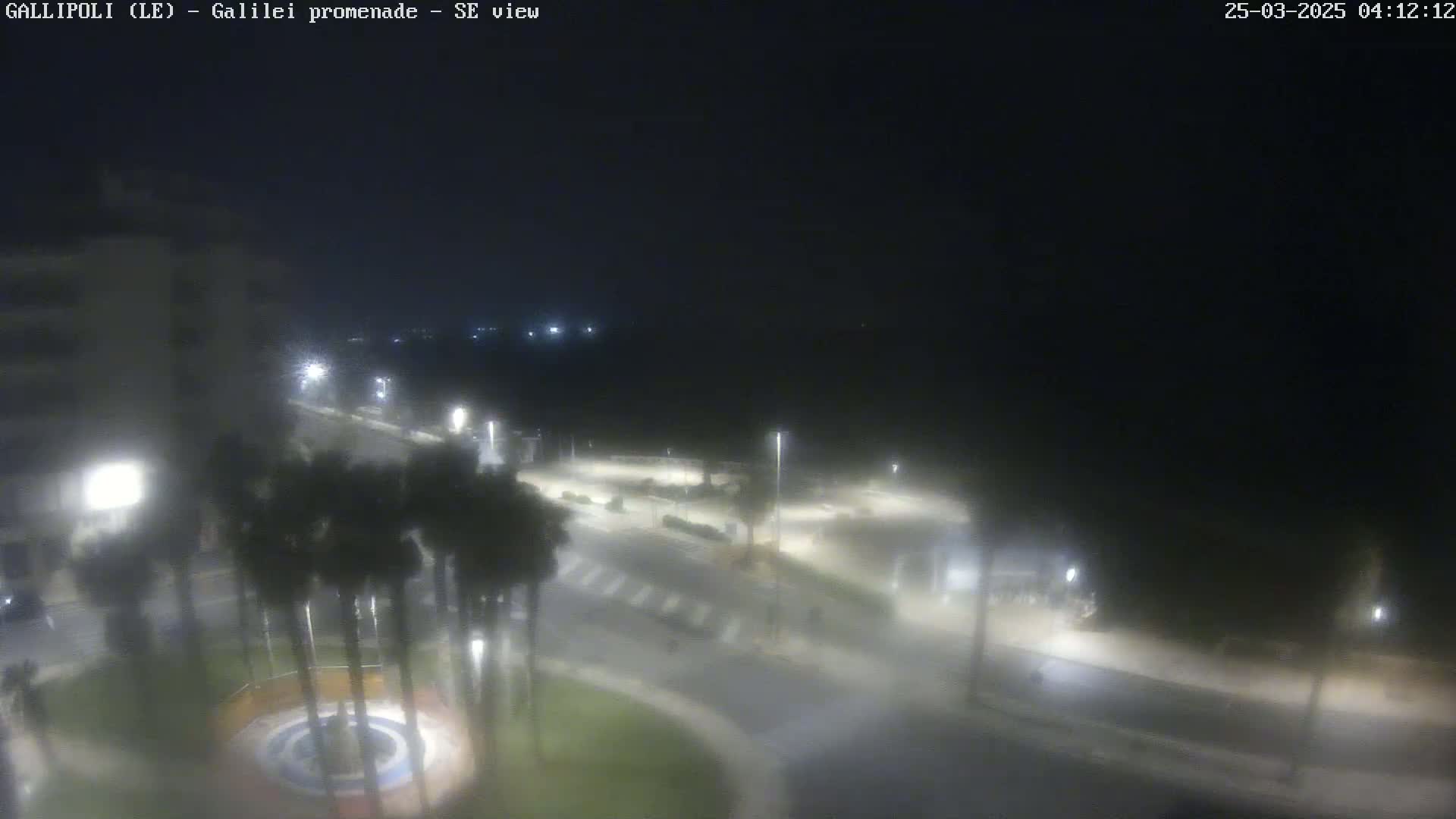 A nighttime, hazy view of a palm-tree-lined roadway and roundabout intersecting with another road, near a building.