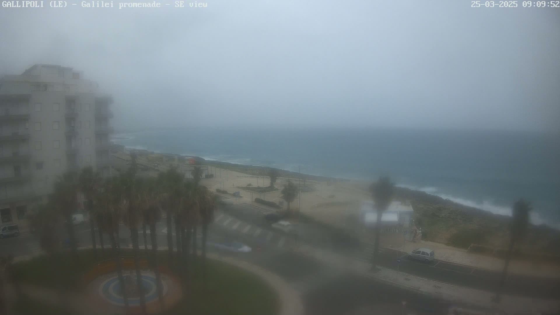 A hazy, overcast day shows a coastal scene with a multi-story building, palm trees, a road, and a partly visible body of water with some waves.