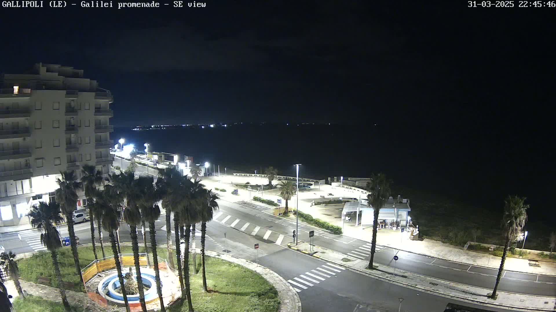 A nighttime, high-angle view shows a coastal town's promenade with palm trees, a multi-story building, and a dark body of water in the background under a clear, dark sky.