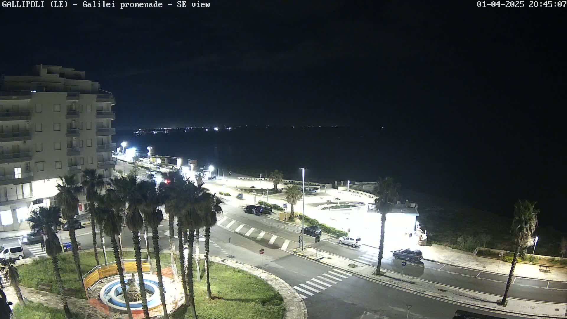 A nighttime, high-angle view of a coastal town with palm trees, a road, buildings, and a calm body of water in the background.