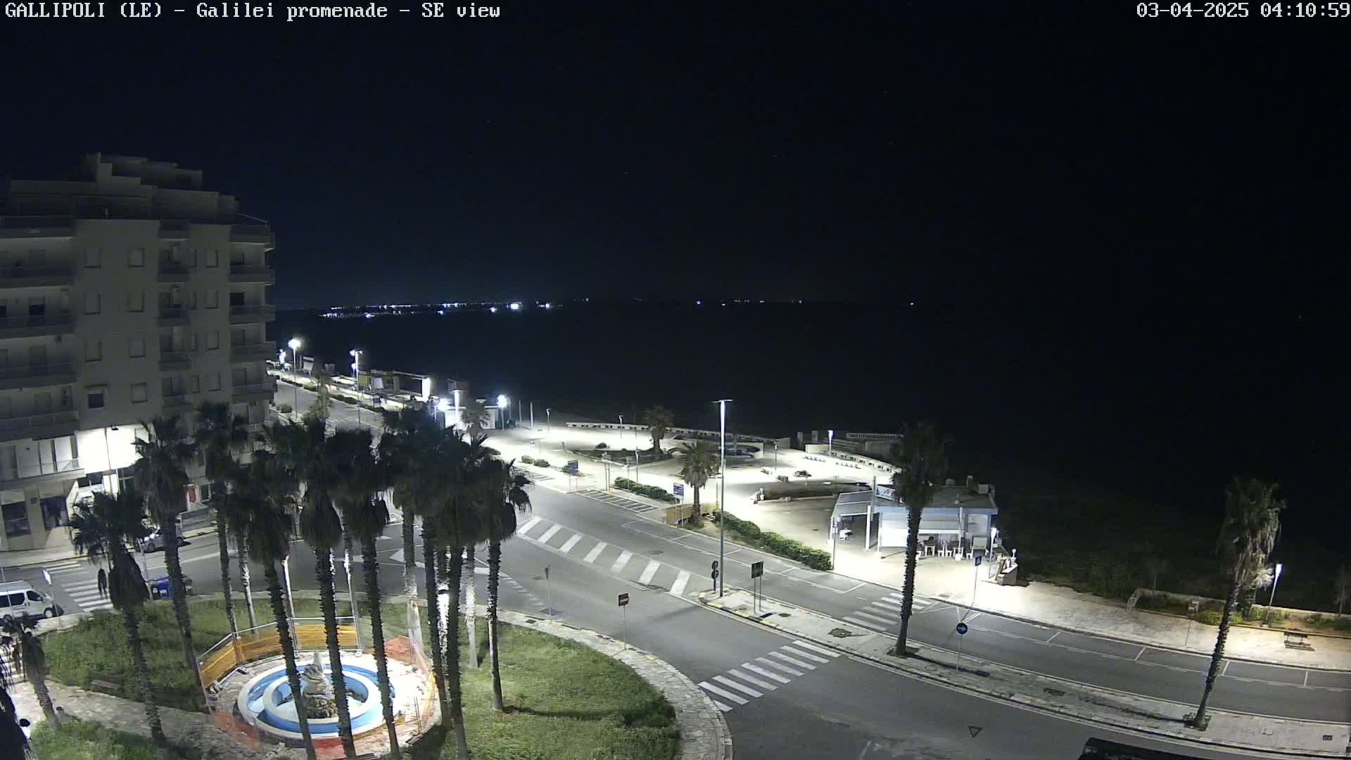 A nighttime, high-angle view shows a seaside promenade with palm trees, a multi-story building, and a calm, dark body of water under a clear, starlit sky.