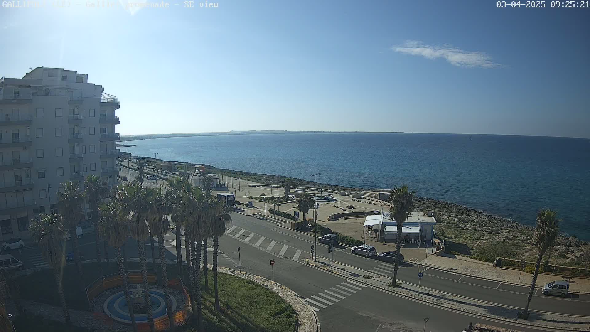 A seaside town on a sunny day, with a multi-story building, palm trees, parked cars, and a calm blue ocean extending to the horizon.