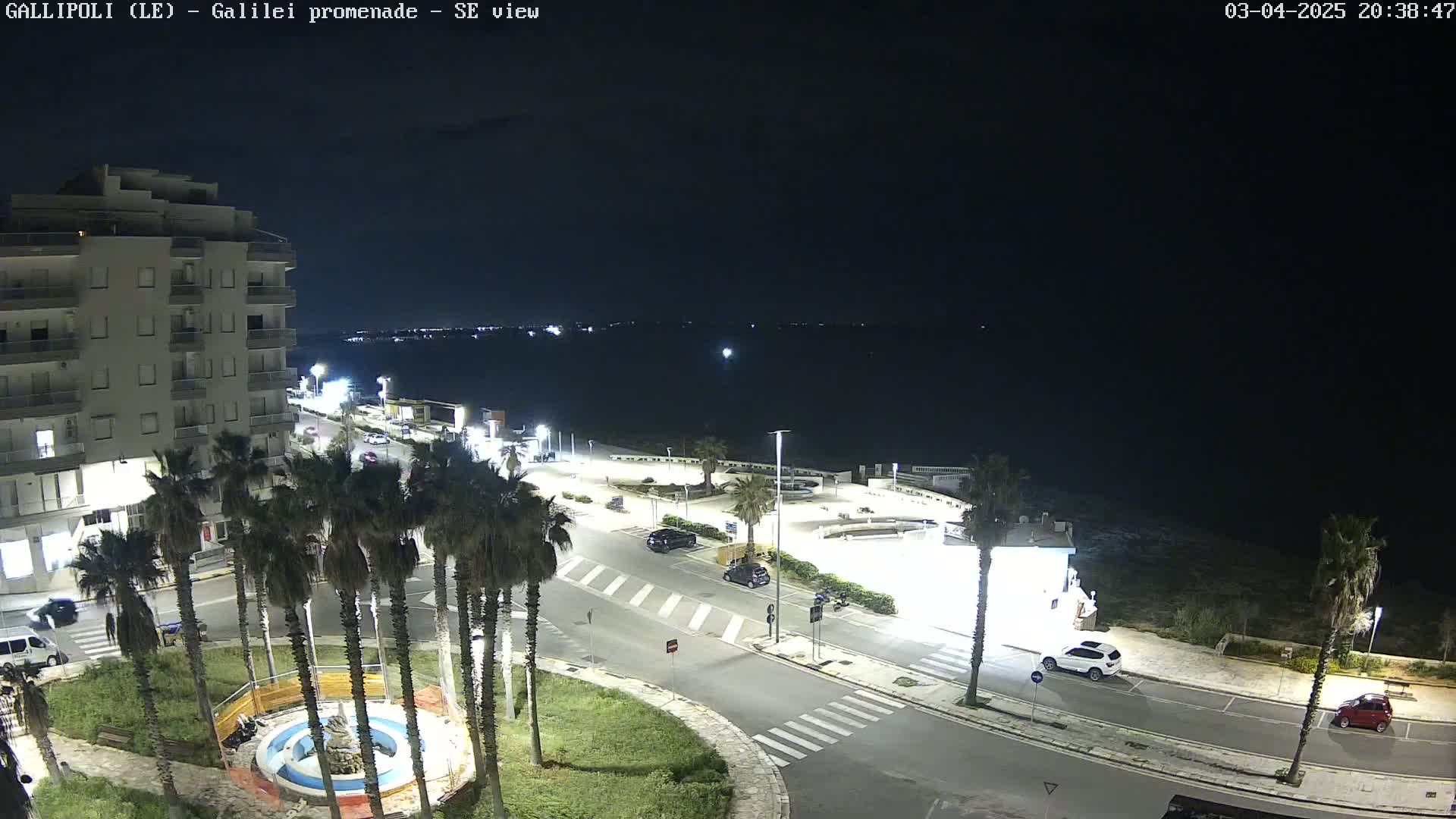 A nighttime, high-angle view shows a coastal town with palm trees lining a road next to a calm sea.