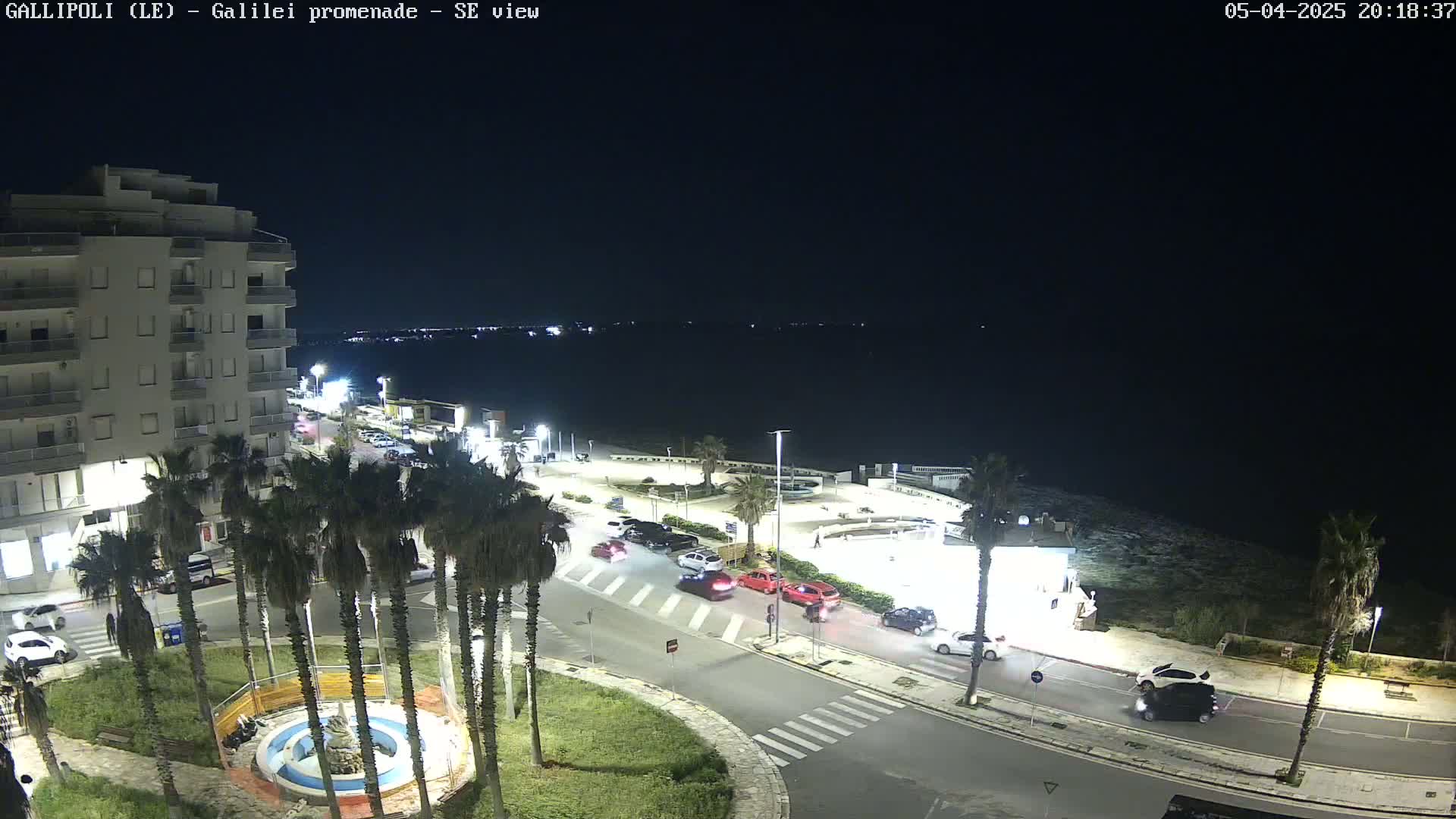 A nighttime, overhead view of a coastal town with palm trees, cars driving on roads near a body of water under a clear, dark sky.