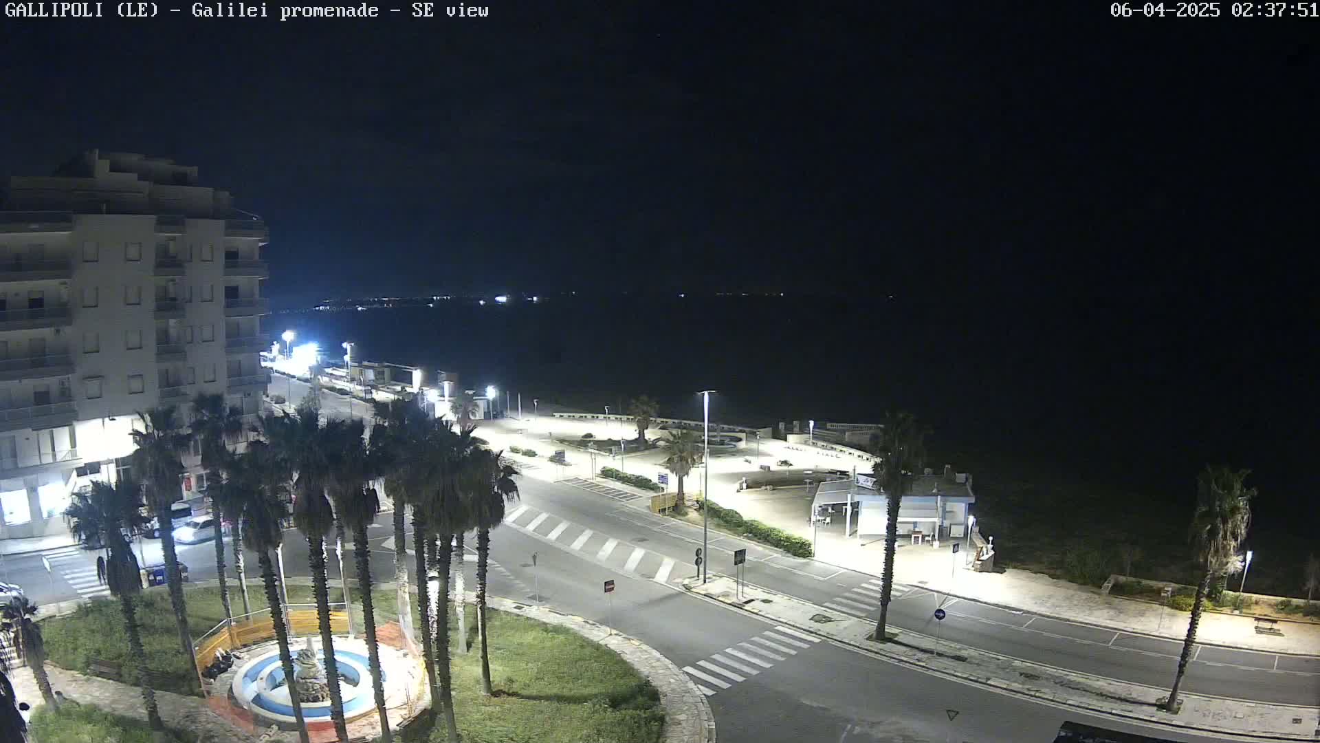 A nighttime, overhead view of a coastal town's promenade, showing a mostly empty roadway, palm trees, and a building near a dark body of water.