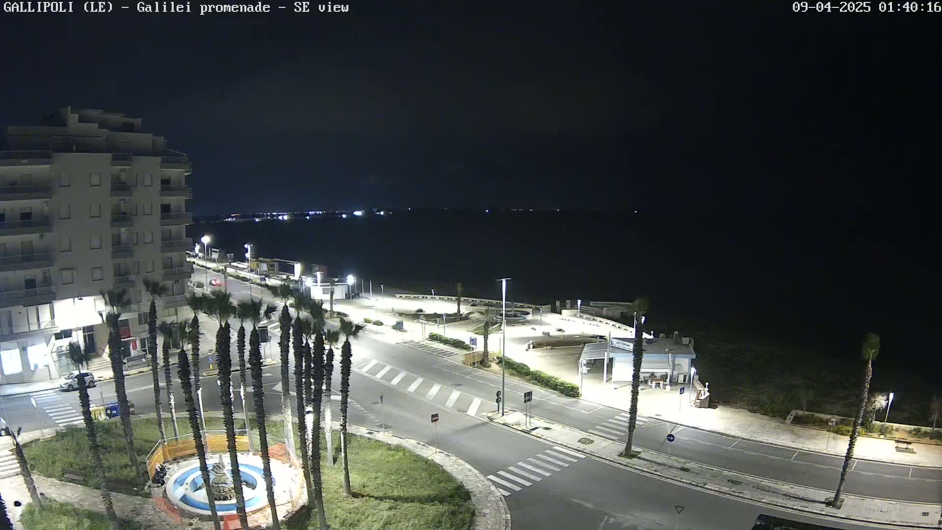 A nighttime, high-angle view of a seaside town's promenade with palm trees, roads, and a building, overlooking a dark body of water.