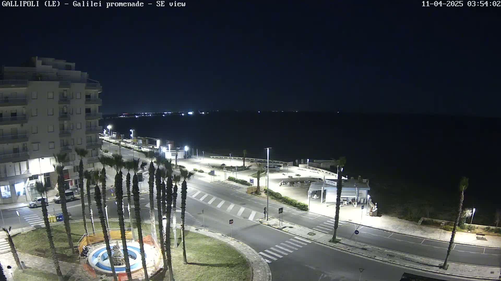 A nighttime, high-angle view of a seaside promenade, featuring a multi-story building, palm trees, streetlights illuminating a road, and a calm body of water in the background.