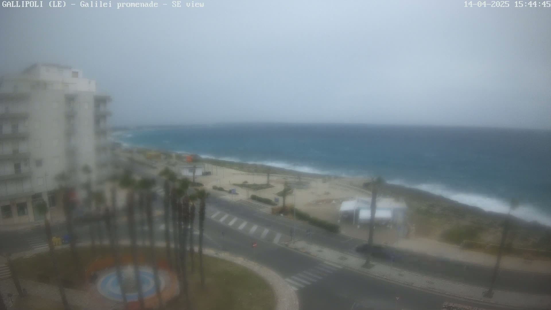 A hazy, overcast view of a coastal town shows a building, palm trees, a road, and a beach with a turbulent sea.