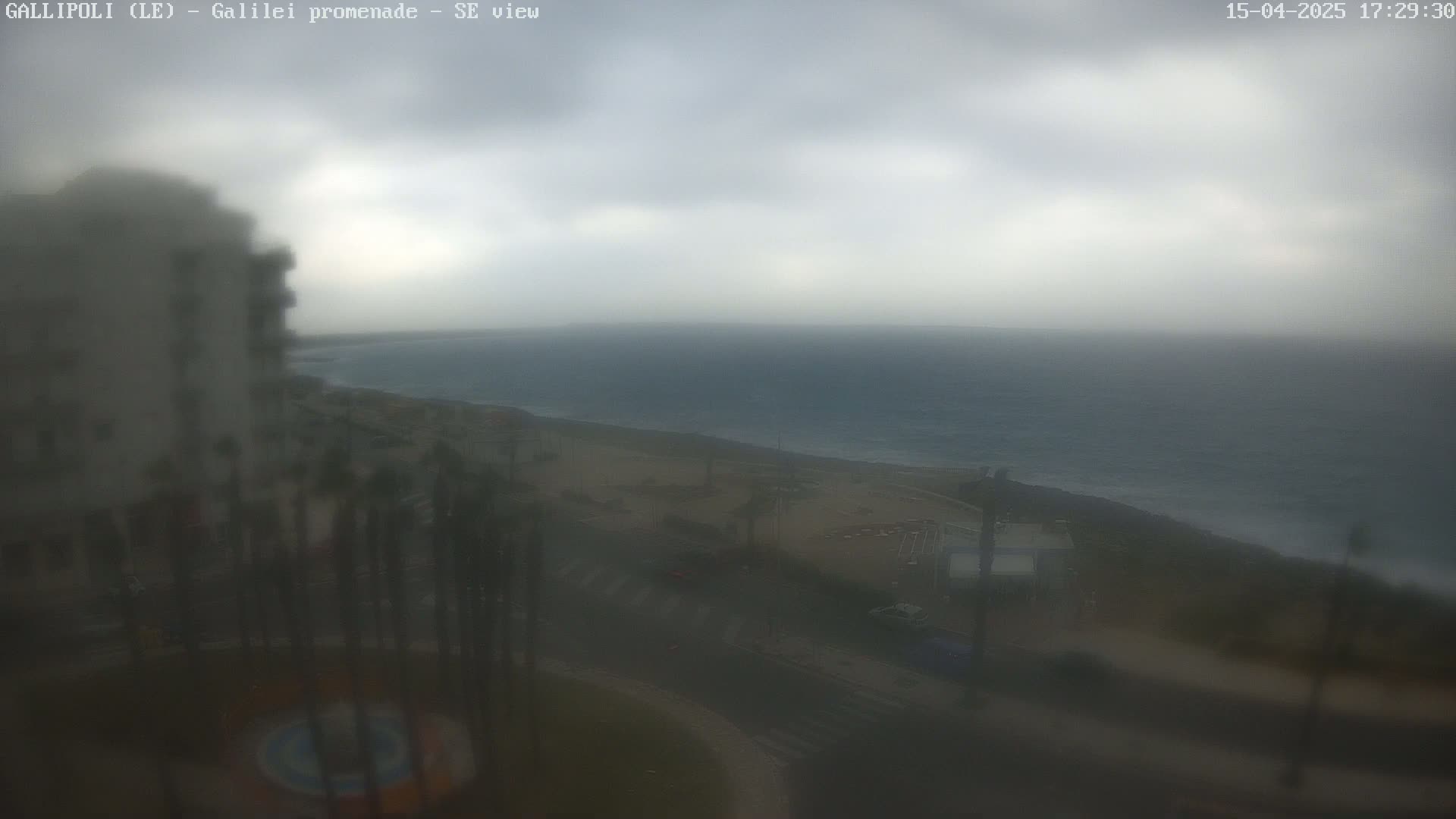 A hazy, overcast day reveals a coastal scene with a building, palm trees, a road, and a calm sea stretching to the horizon.