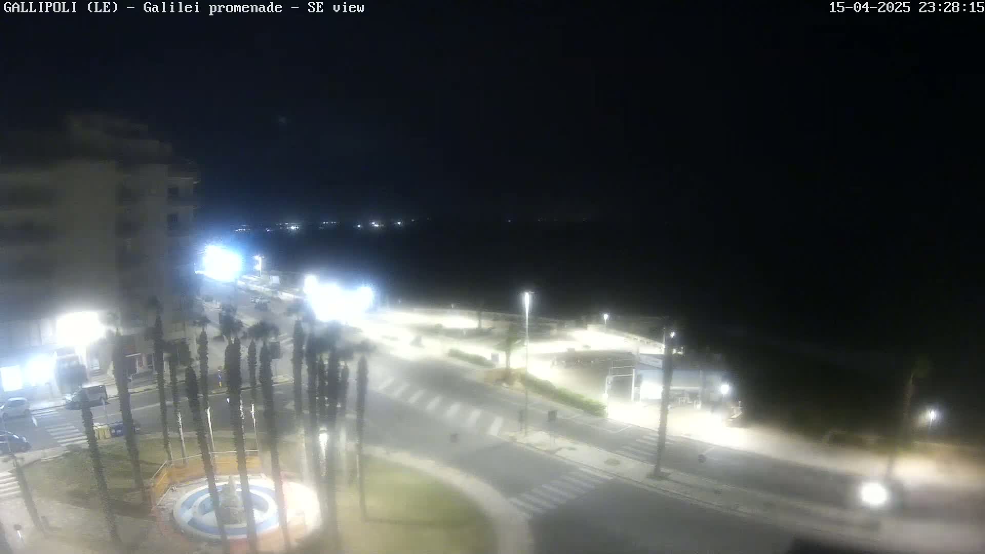 A nighttime, high-angle view of a coastal town square with palm trees, roads, and buildings illuminated by streetlights.