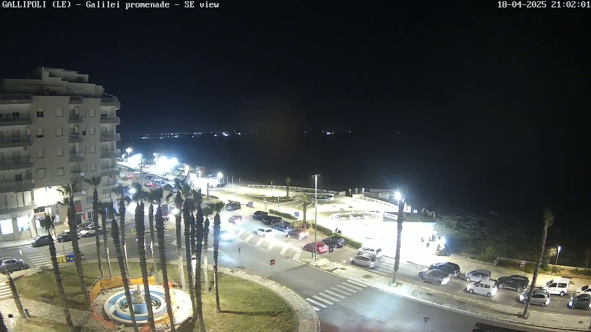 A nighttime, seaside view of a city street with parked and moving cars, palm trees, and a multi-story building near a waterfront area.