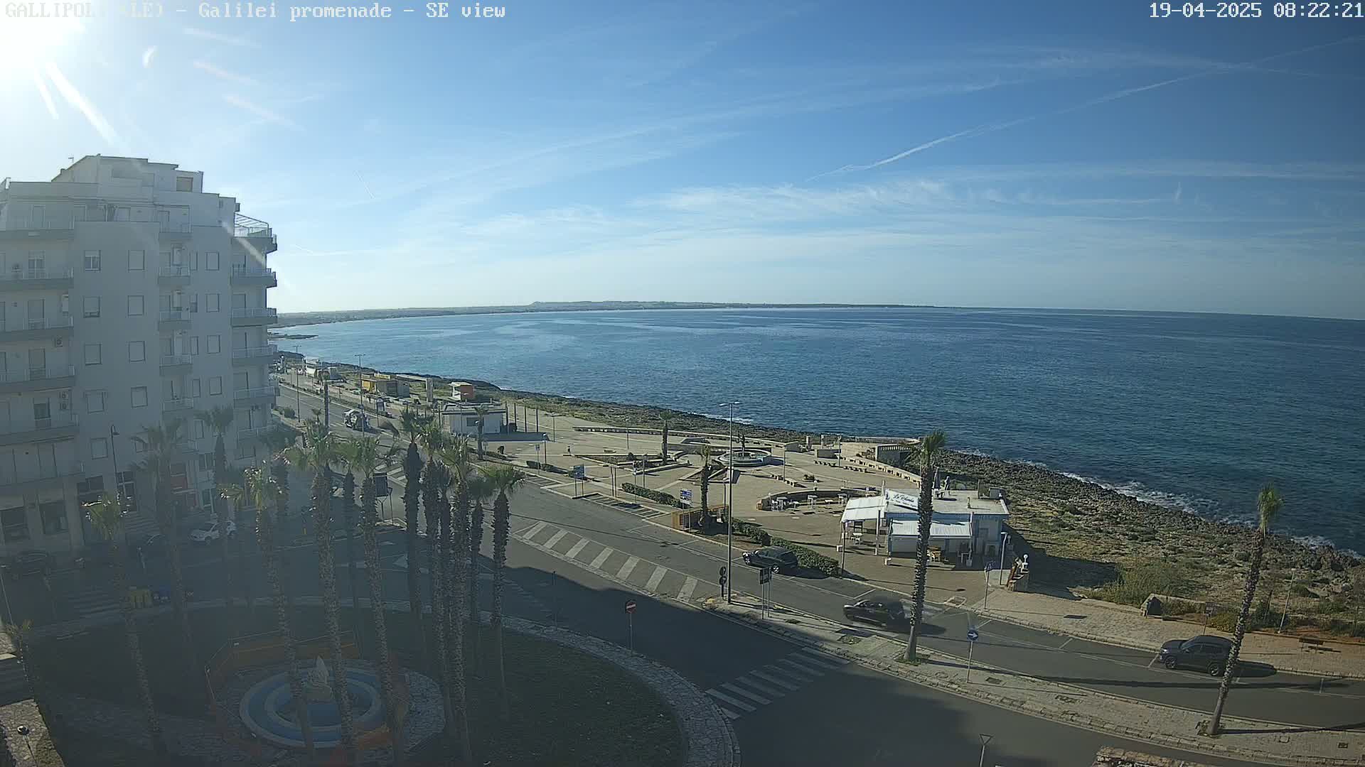 A seaside promenade with palm trees, a multi-story building, and a calm ocean under a clear blue sky.