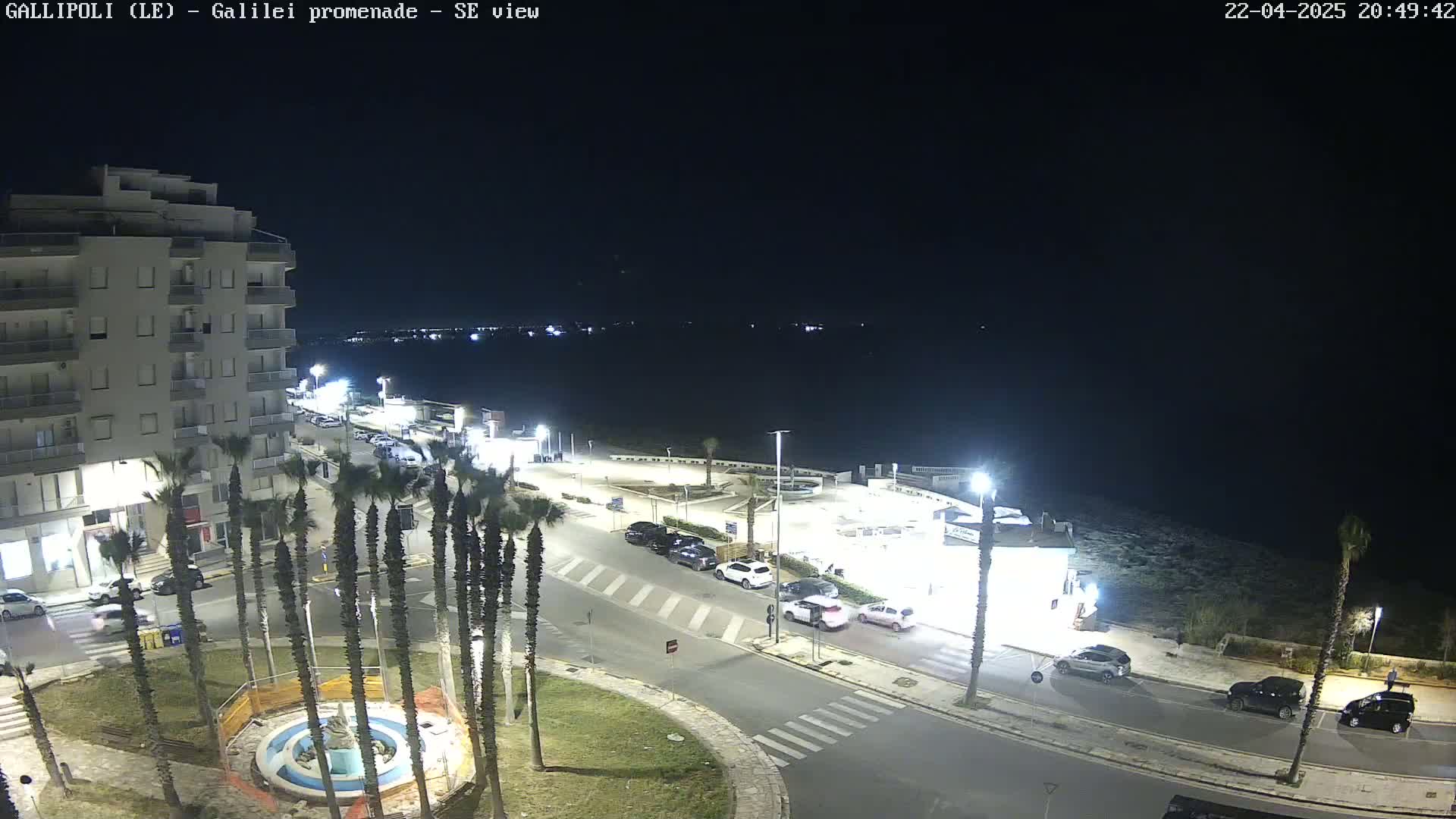 A nighttime view of a seaside town, showing a street with parked cars, palm trees, a building, and a calm body of water in the background.