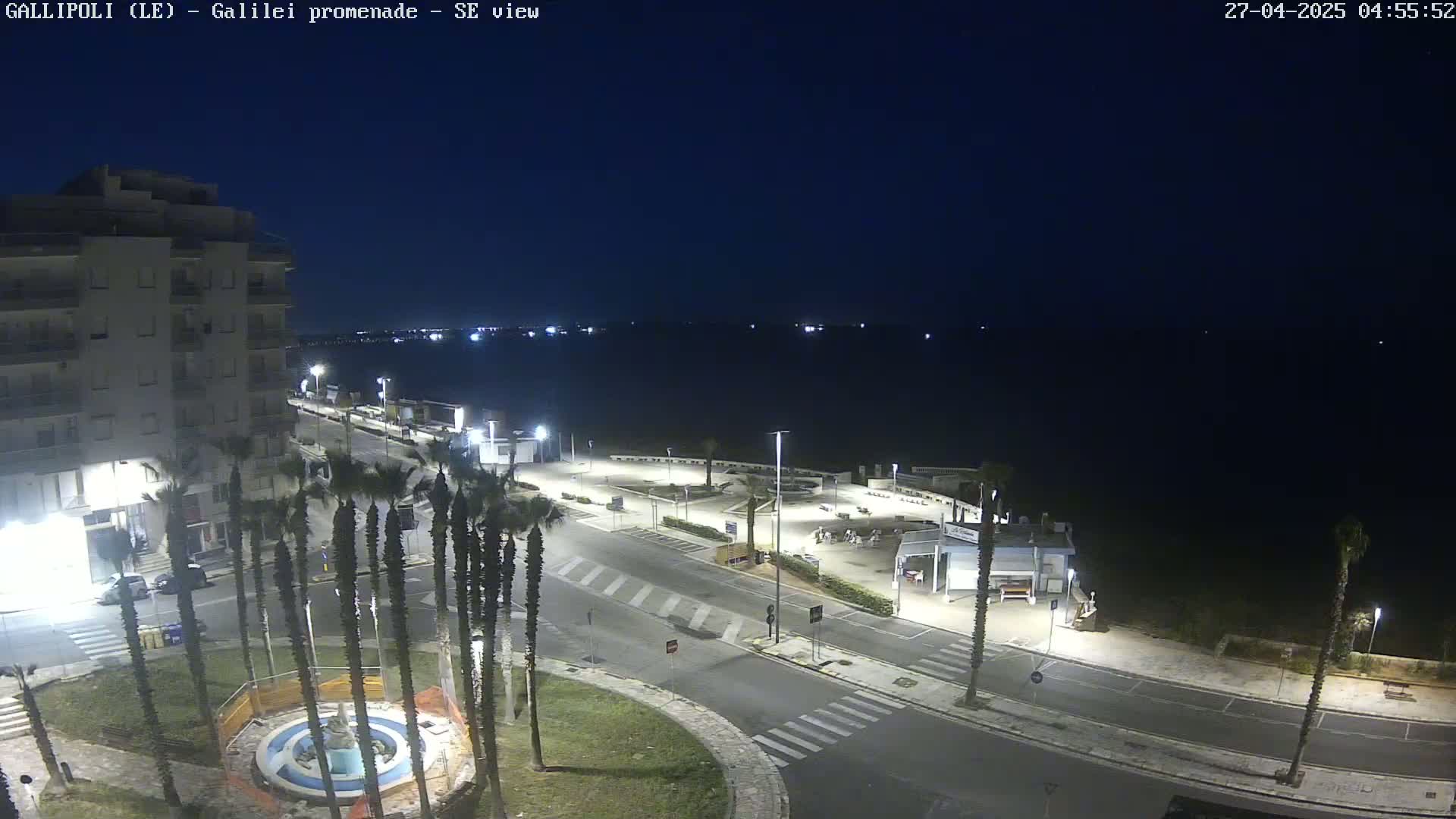 A nighttime view of a coastal town's promenade shows a calm, dark sea, palm trees lining a mostly empty road, and a building in the background under a clear, dark sky.