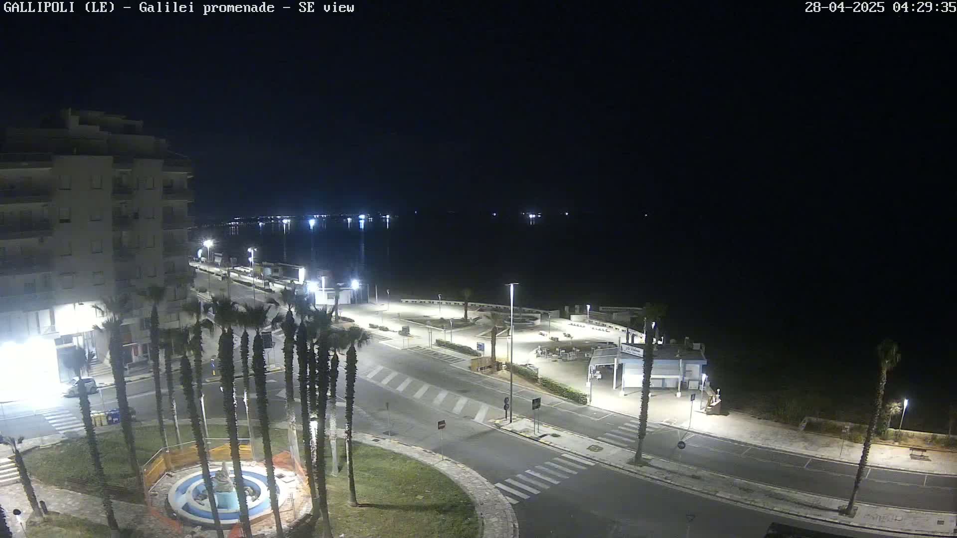 A nighttime, high-angle view of a seaside promenade with palm trees, buildings, and streetlights, overlooking a calm, dark body of water.