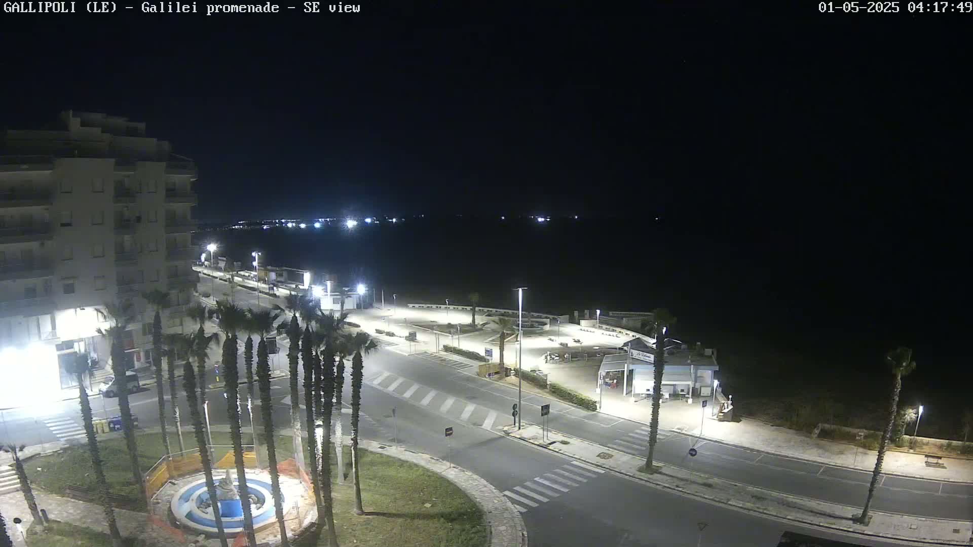 A nighttime view of a coastal town shows a promenade, palm trees, buildings, and a dark body of water under a clear, dark sky.