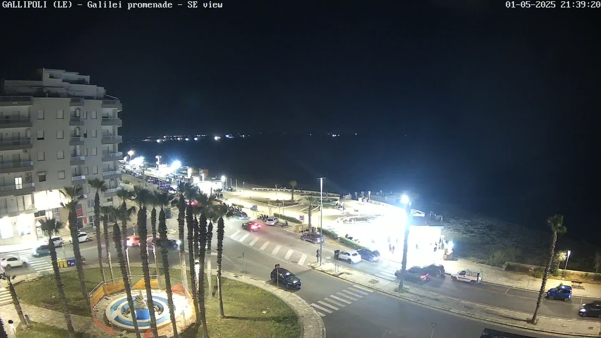 A nighttime, seaside view shows a town square with cars, palm trees, and a building near a calm body of water under a clear, dark sky.