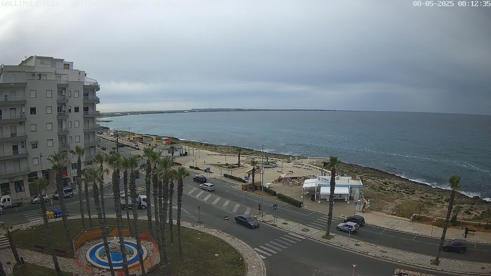 A coastal town scene on an overcast day shows a multi-story building, palm trees lining a road next to a calm sea, and a few cars parked along the roadway.