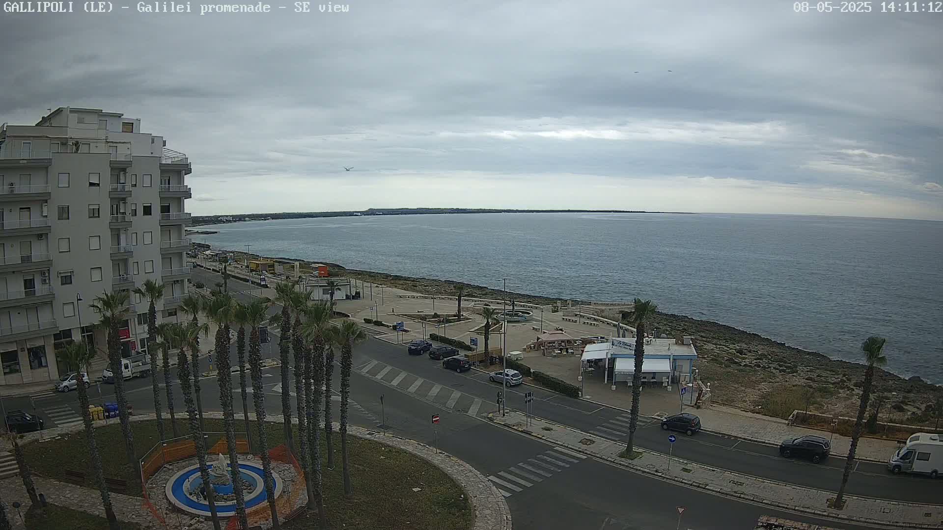 An overcast day reveals a coastal town scene with a seaside promenade, palm trees lining a street, and parked cars near a light-colored building next to the ocean.