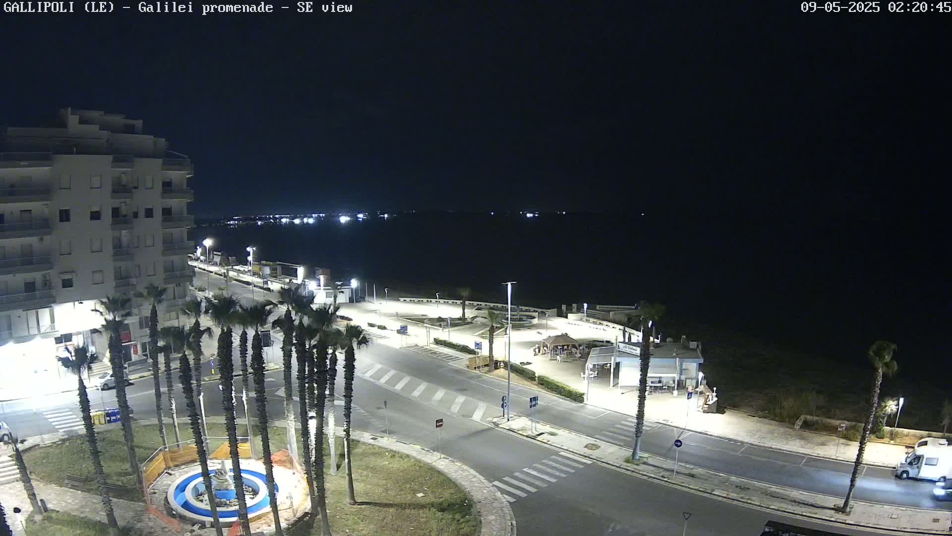A nighttime, seaside view shows a mostly empty roadway lined with palm trees leading to a calm body of water, with a multi-story building and a few parked vehicles visible.