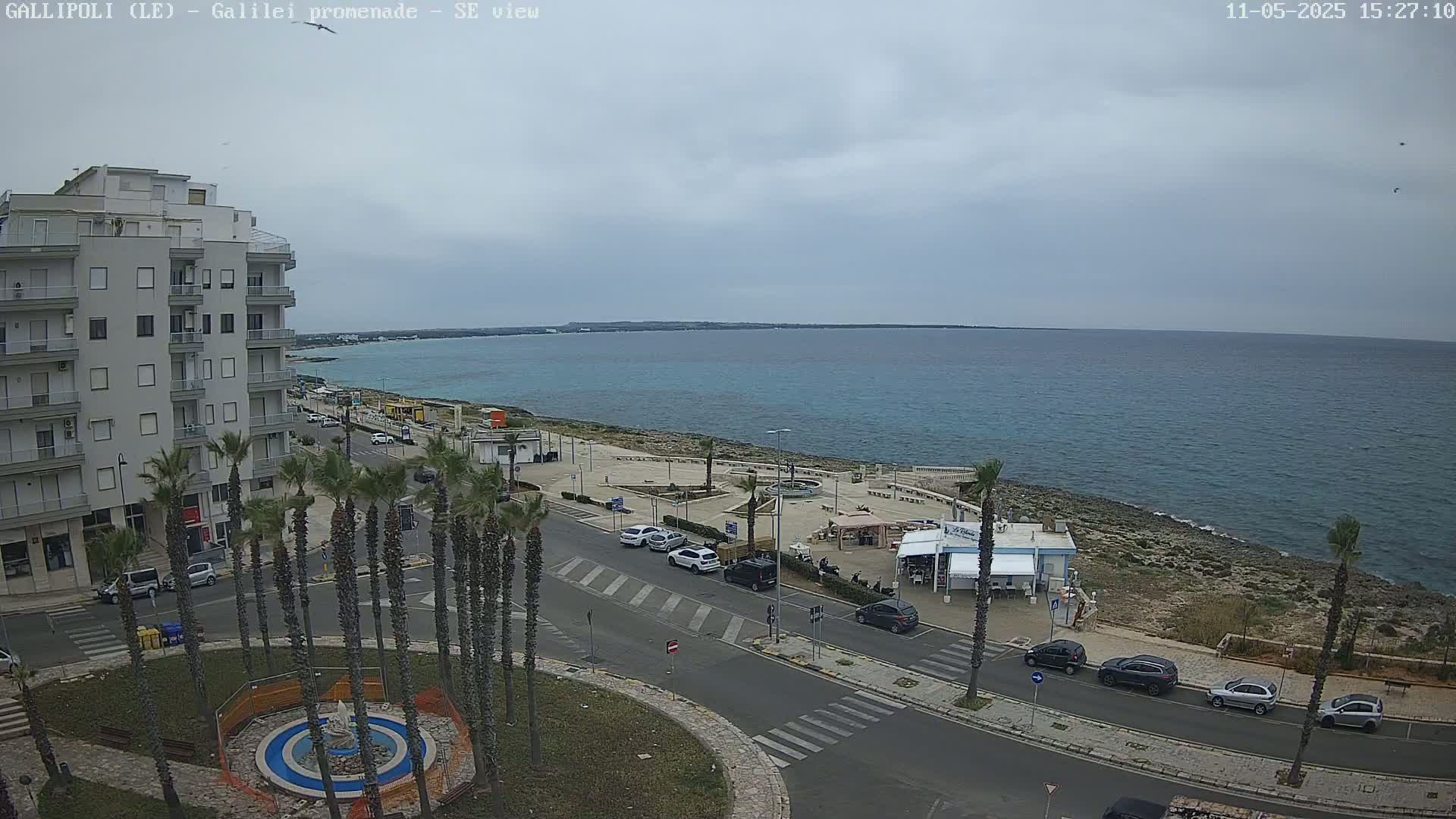 A seaside town with overcast skies shows a coastal road lined with palm trees, cars parked along the roadside, and a multi-story building overlooking a calm sea.