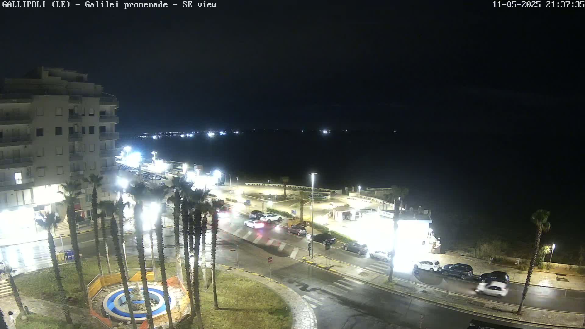 A nighttime view of a coastal town shows a wet street with parked and moving cars near palm trees and a building, overlooking a dark body of water.