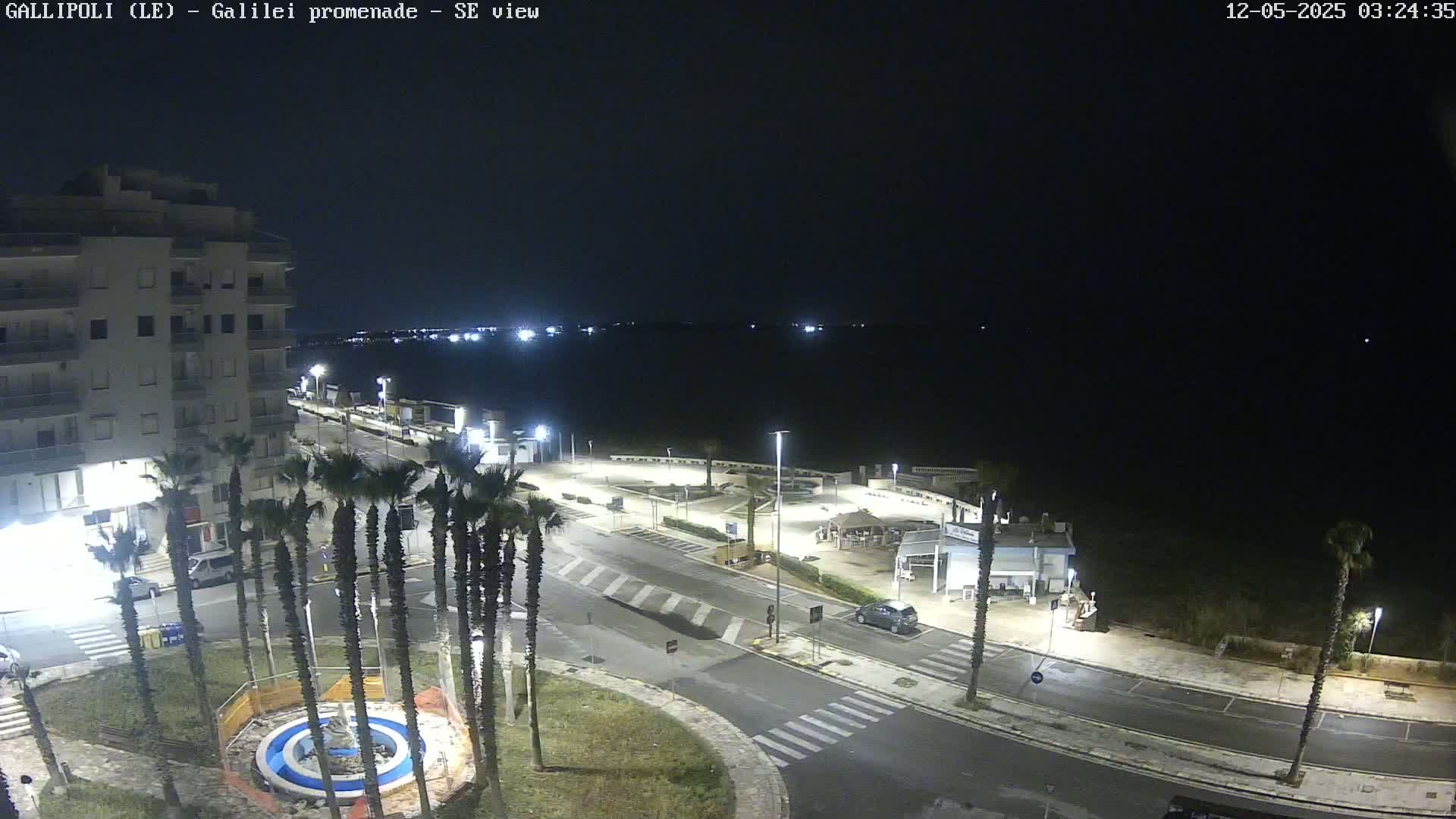 A nighttime view of a seaside promenade shows a multi-story building, palm trees, and parked cars along a roadway overlooking a dark body of water under a clear, dark sky.