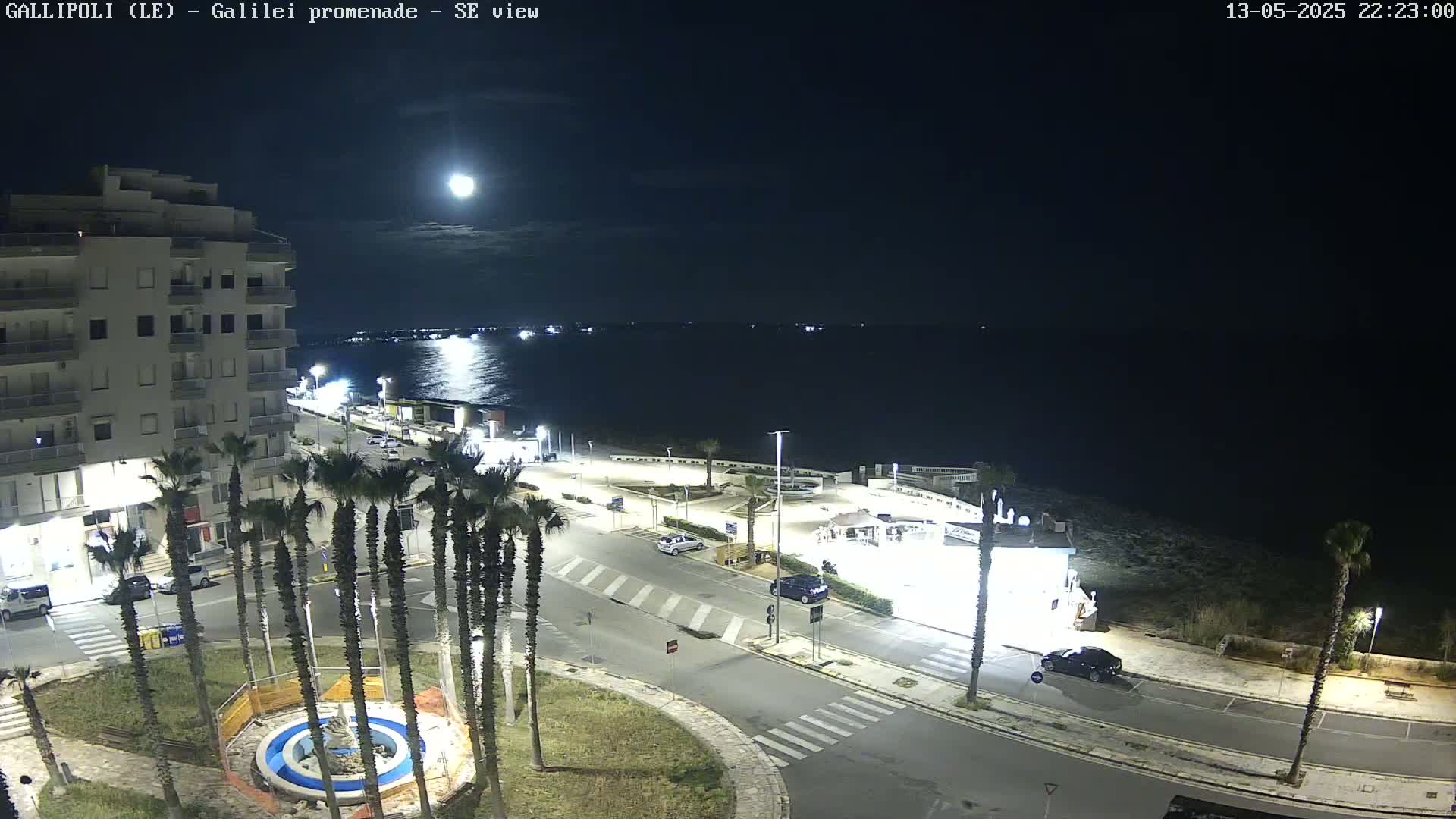 A nighttime seaside view shows a calm body of water under a bright moon, with a promenade lined with palm trees and buildings, cars parked along the street.