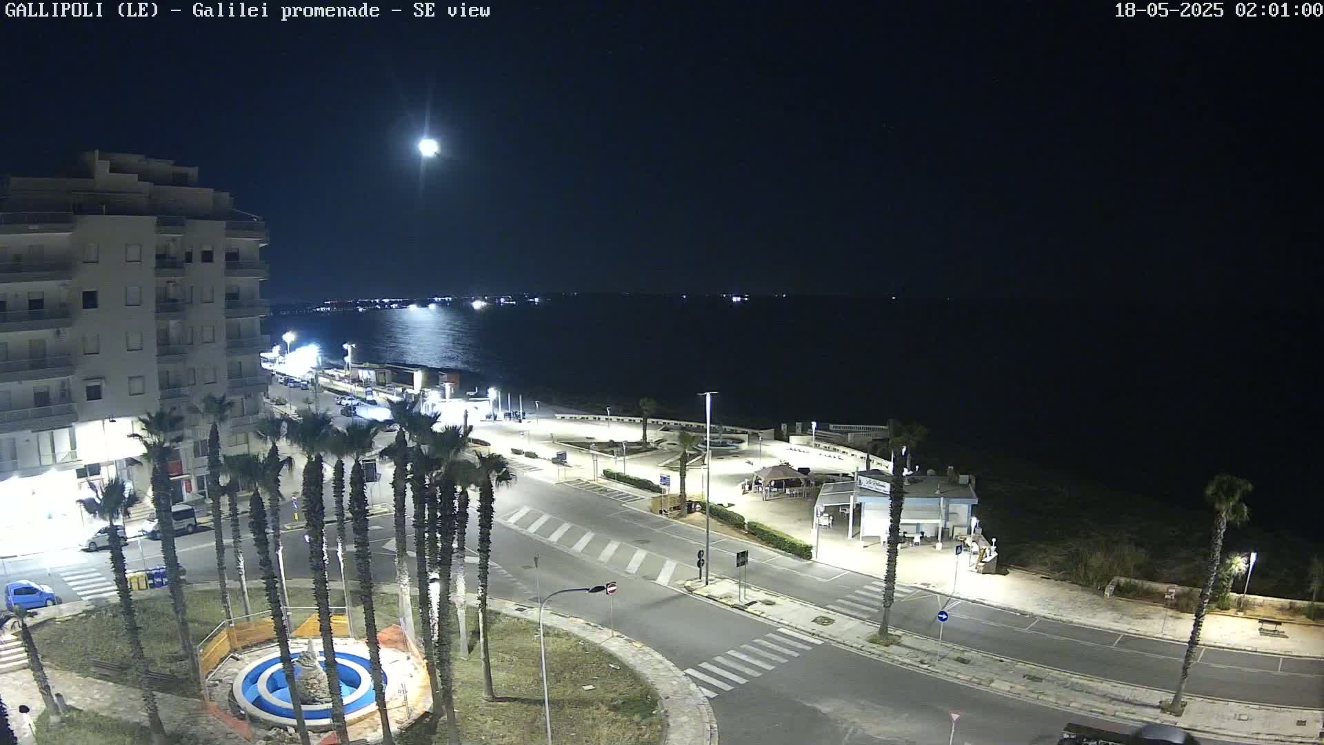 A nighttime, overhead view of a seaside promenade with palm trees, buildings, and a calm body of water under a bright moon.