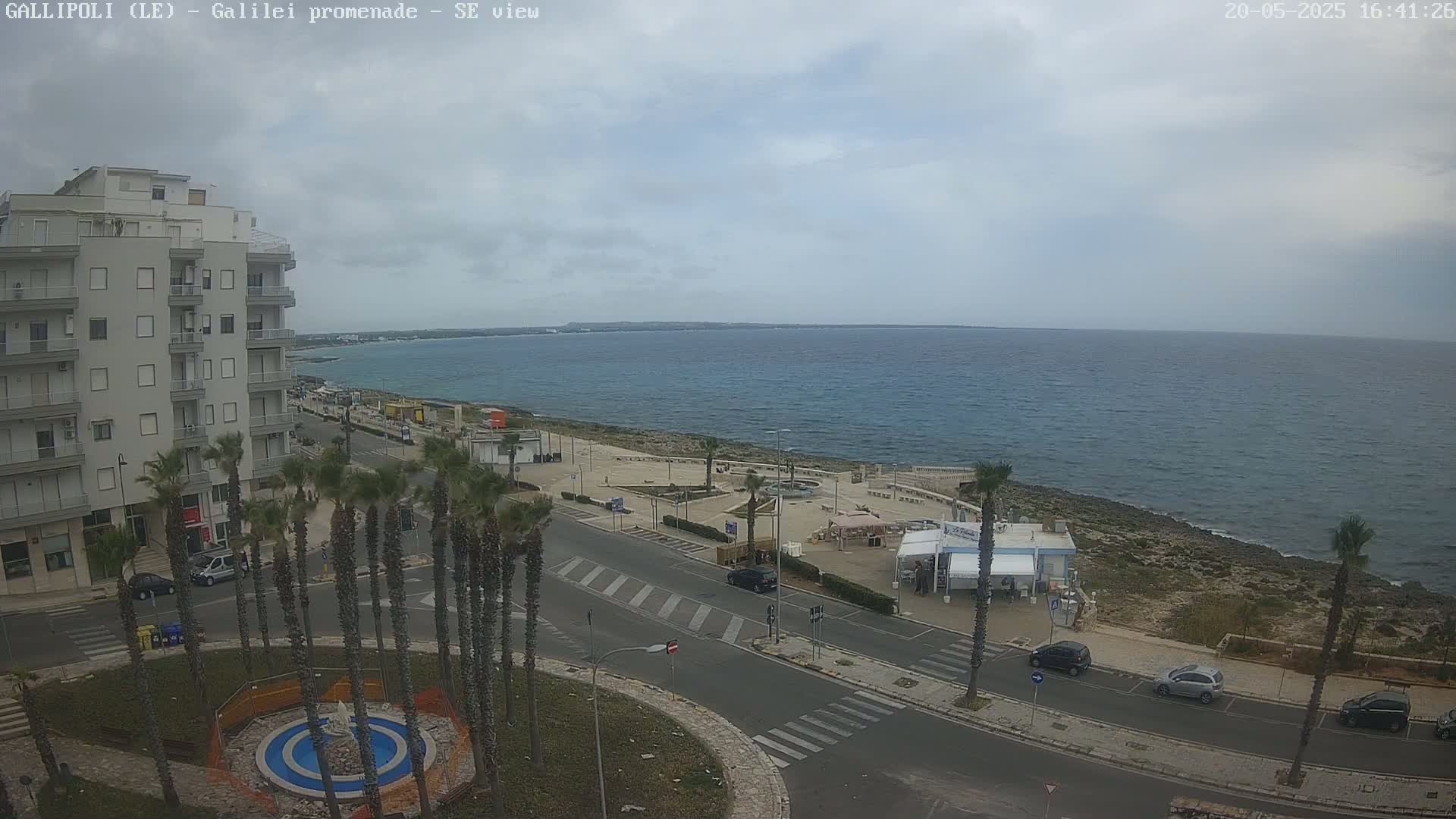 A seaside promenade with palm trees, buildings, and parked cars is visible under a mostly cloudy sky.