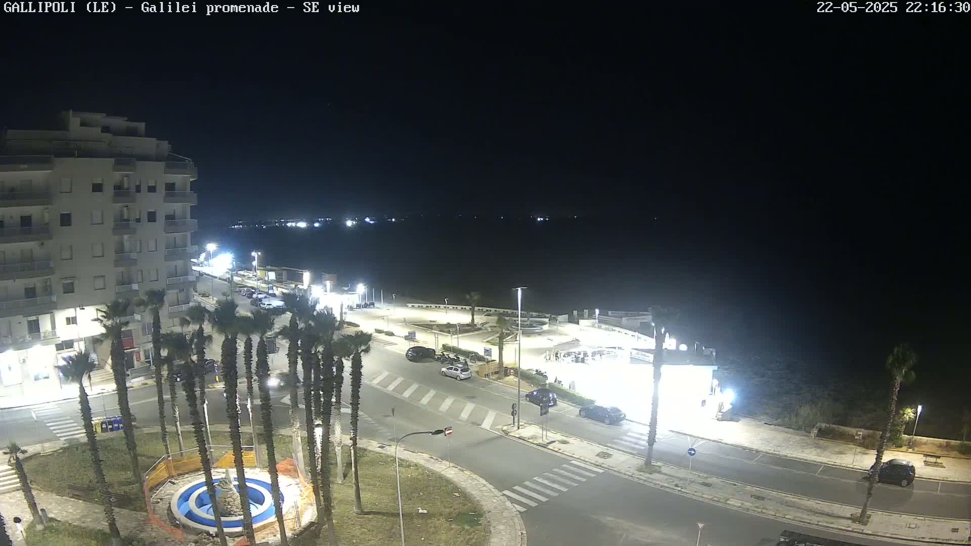 A nighttime, high-angle view of a coastal town square with palm trees, parked cars, and a building, overlooking a dark body of water.