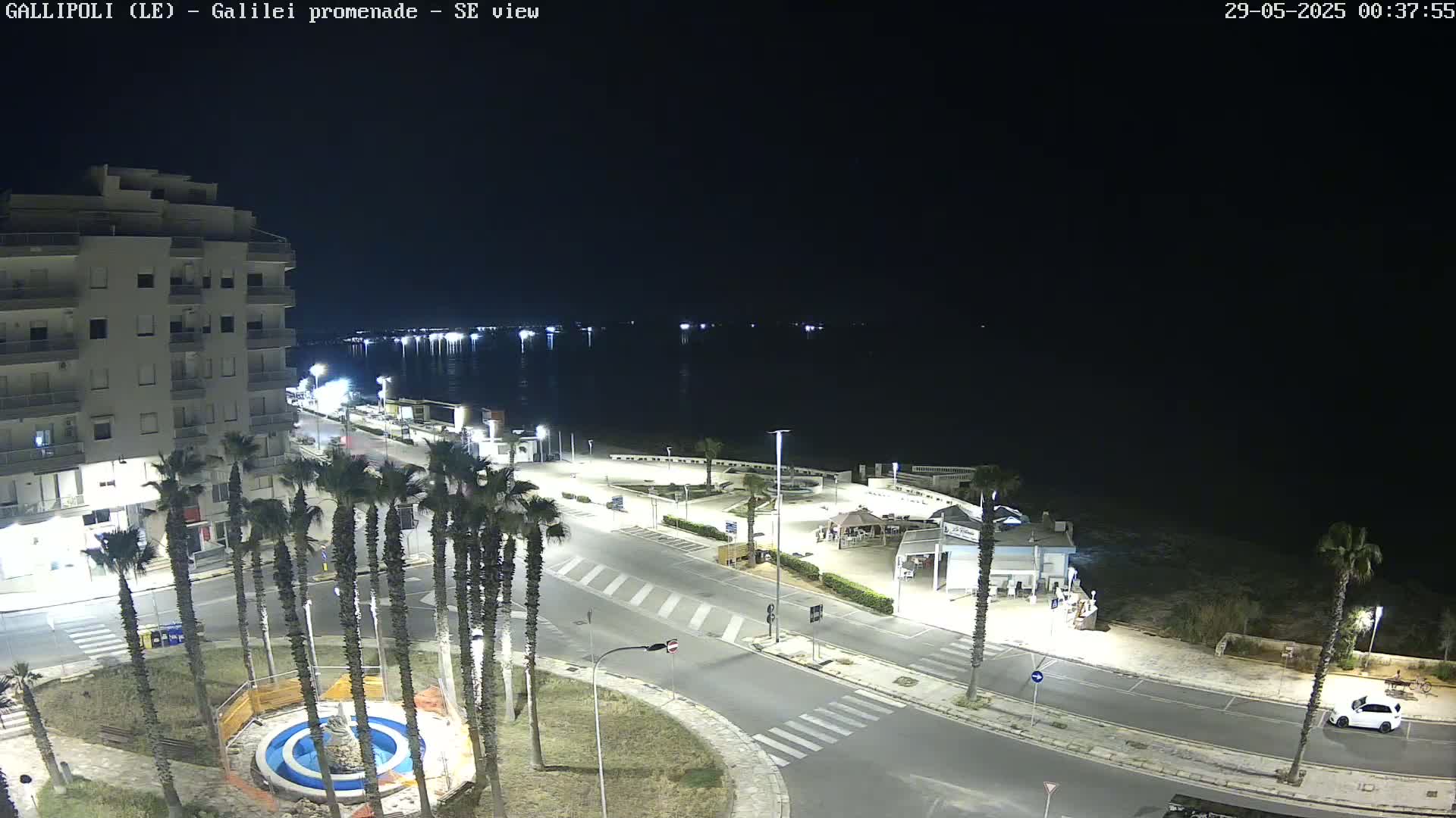 A nighttime, high-angle view shows a seaside town with palm trees lining a roadway near a calm body of water and a multi-story building.