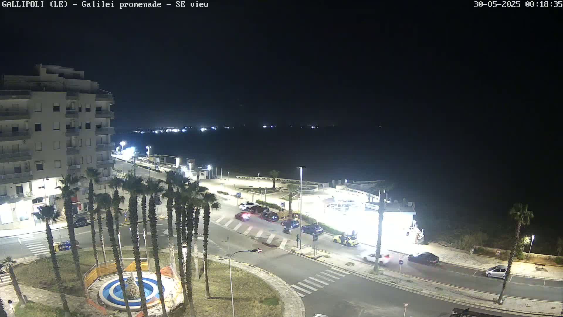 A nighttime, high-angle view shows a seaside town with palm trees lining a road near a body of water under a clear, dark sky.