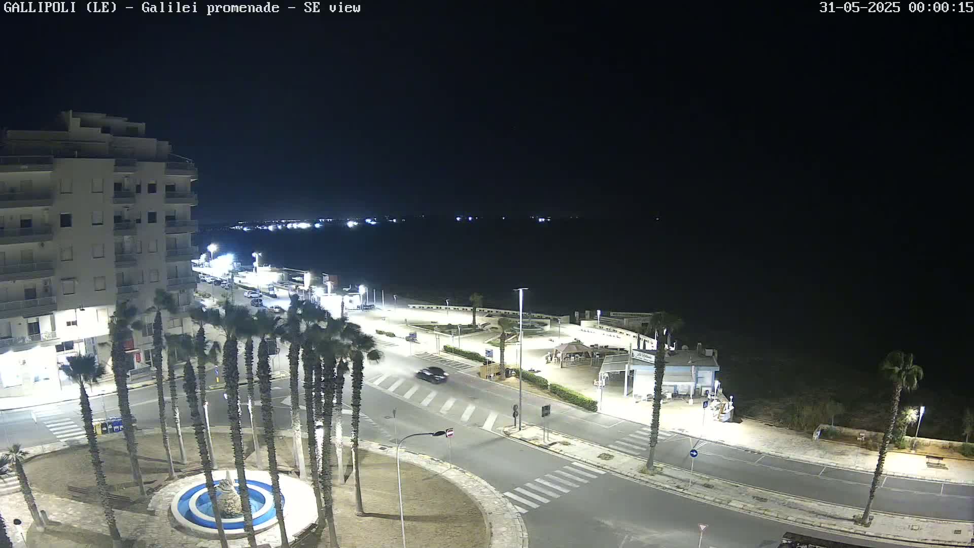 A nighttime, aerial view of a seaside town shows a paved promenade with palm trees, a few cars, and buildings lit up along the coast.