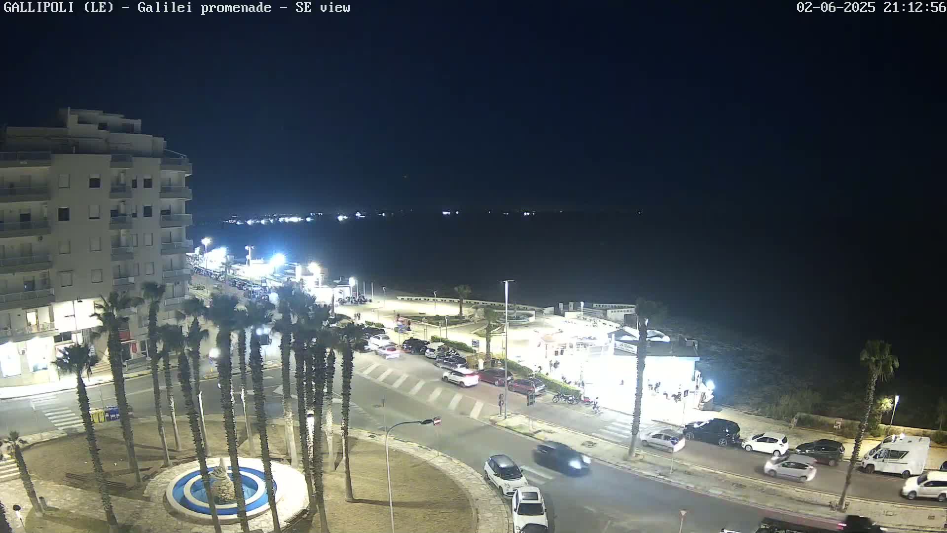 A nighttime, seaside view shows a promenade with palm trees, cars, and a building, all under a clear, dark sky.