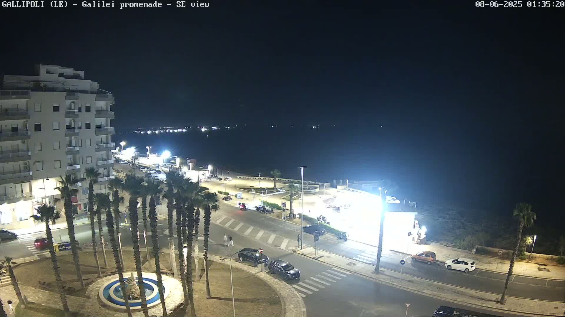 A nighttime aerial view shows a coastal town with palm trees lining a street near a body of water under a clear, dark sky.