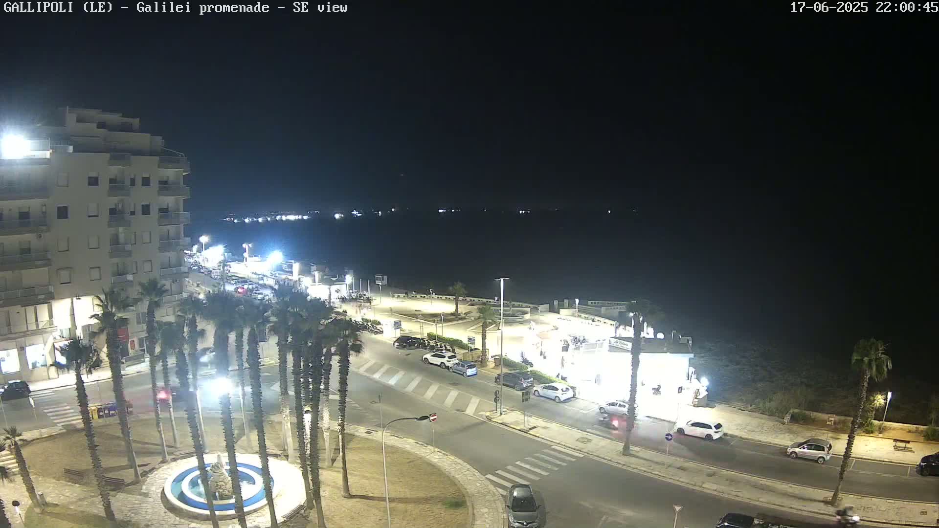 A nighttime, high-angle view of a seaside town with palm trees lining a street, cars parked along the road, and a building with lights visible in the distance across calm water.