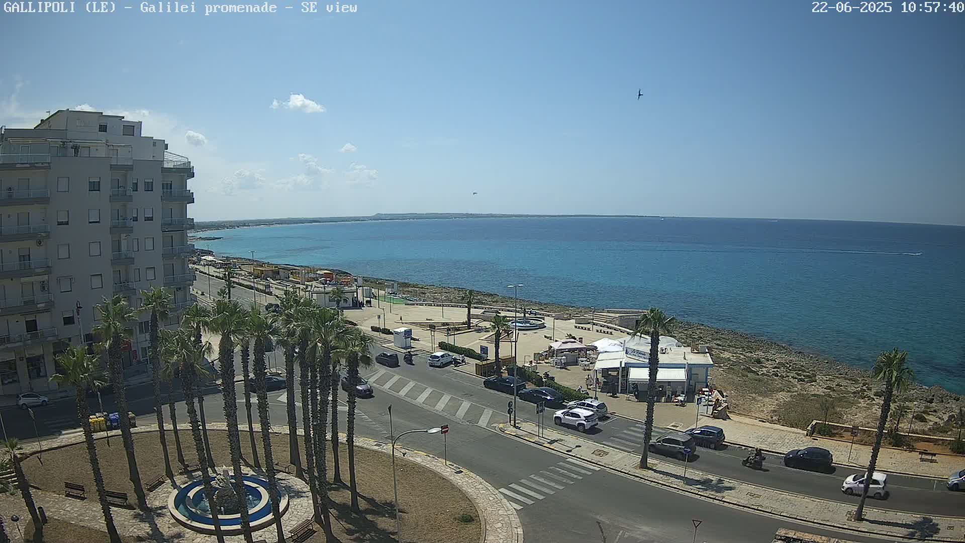 A seaside town with palm trees lining a street beside a calm, blue ocean under a mostly sunny sky.