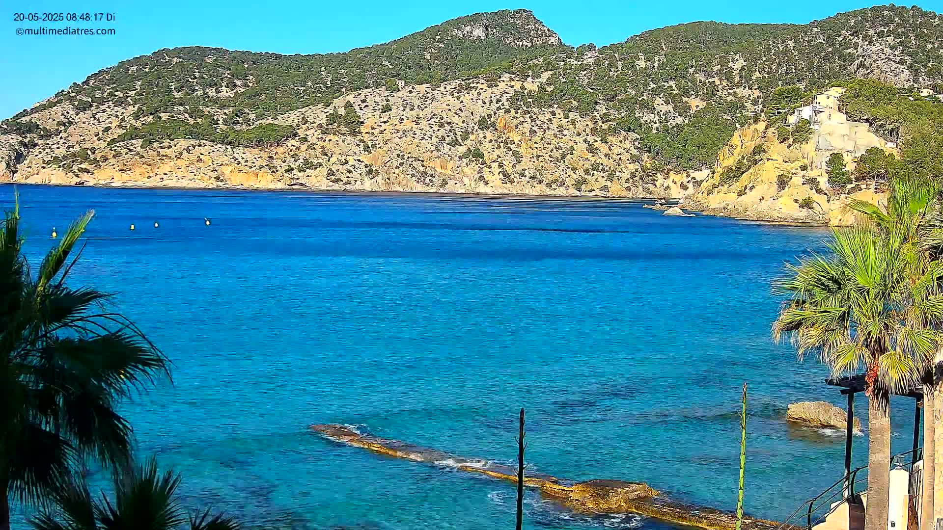A clear, sunny day shows a bright blue ocean bay nestled between a rocky, tree-covered hillside and a palm tree-lined shore.