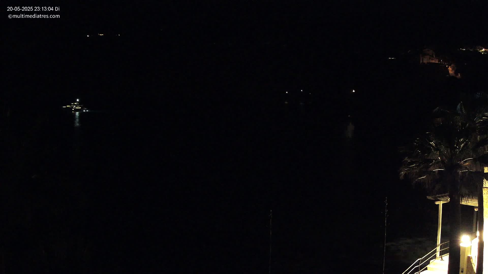 A dark, nighttime scene shows a body of water with faint lights in the distance, a palm tree in the lower right corner, and some dimly lit buildings on a hill in the background.