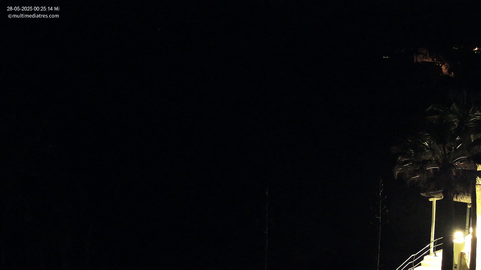 A nighttime view shows a palm tree and a dimly lit structure near a dark body of water under a clear, dark sky.